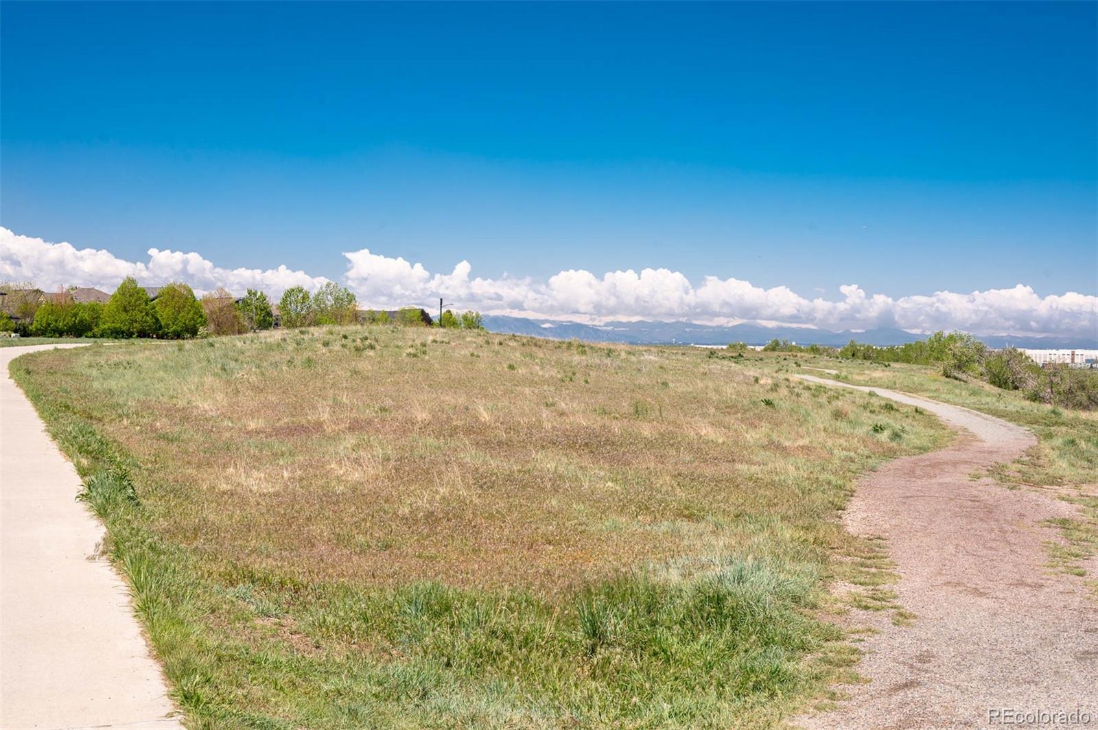 MLS Image #30 for 3171  fulton street,denver, Colorado