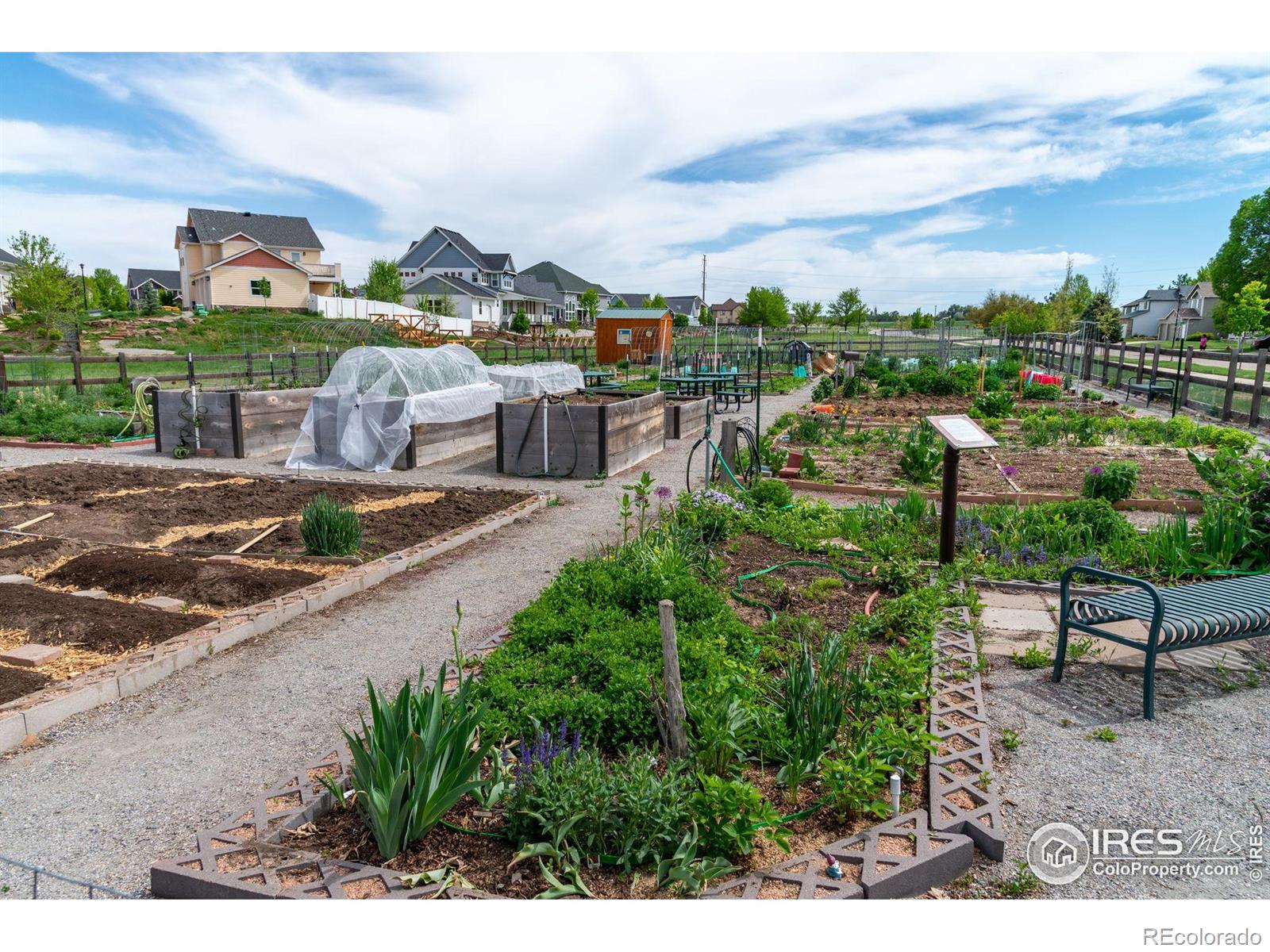MLS Image #35 for 1264  banner circle,erie, Colorado