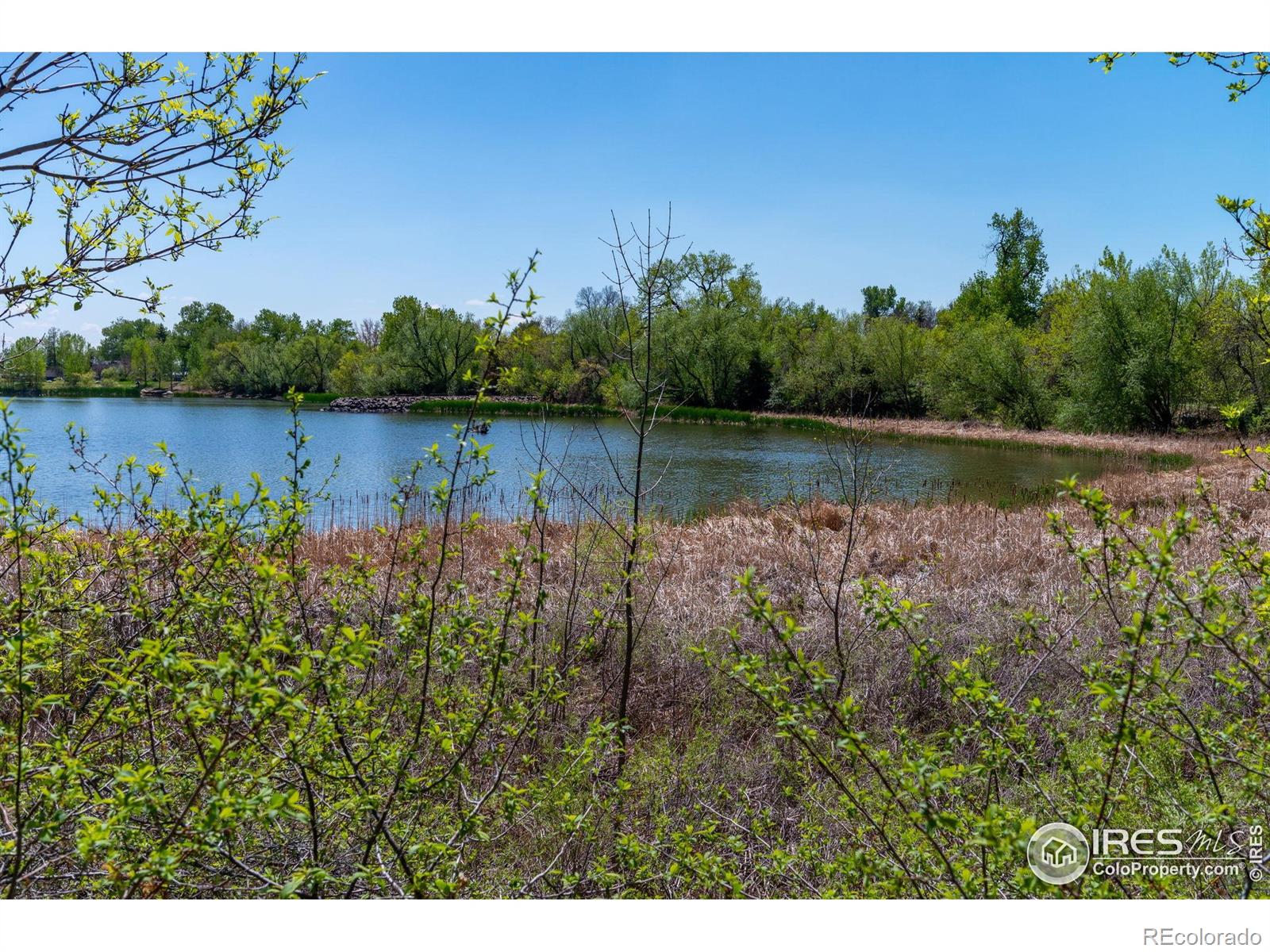 MLS Image #35 for 10547  lipan street,northglenn, Colorado