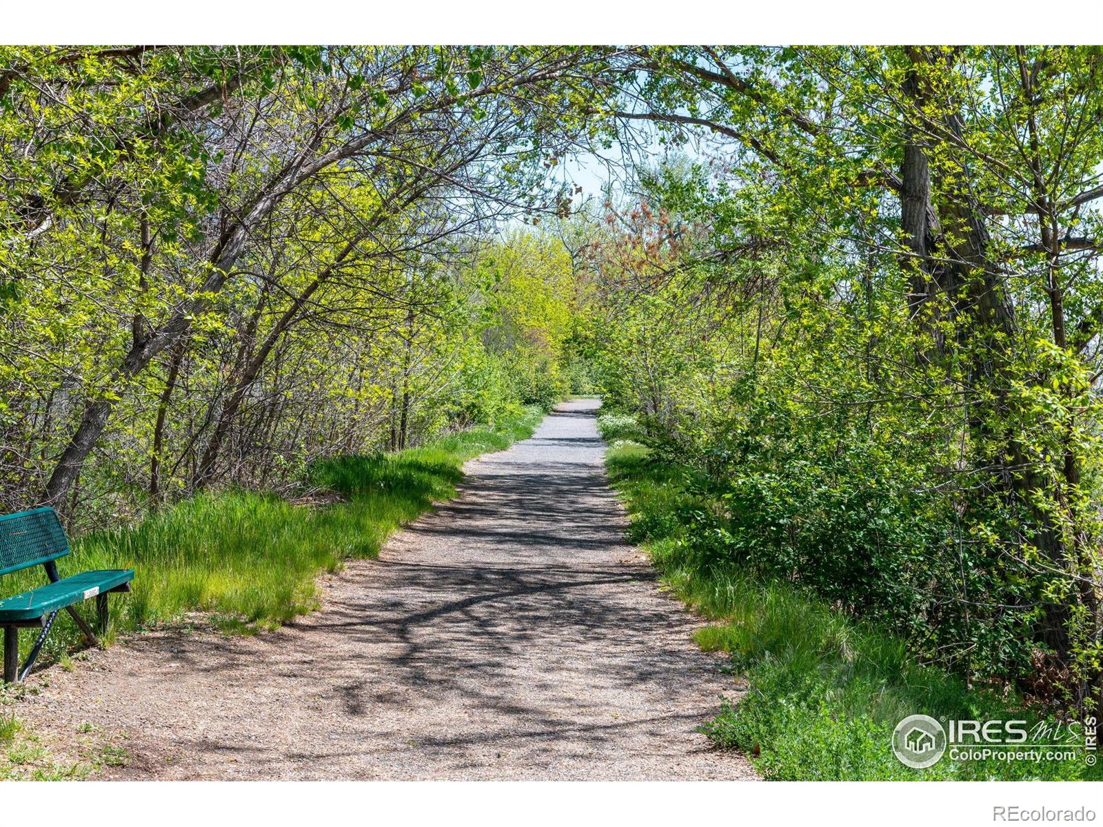 MLS Image #36 for 10547  lipan street,northglenn, Colorado