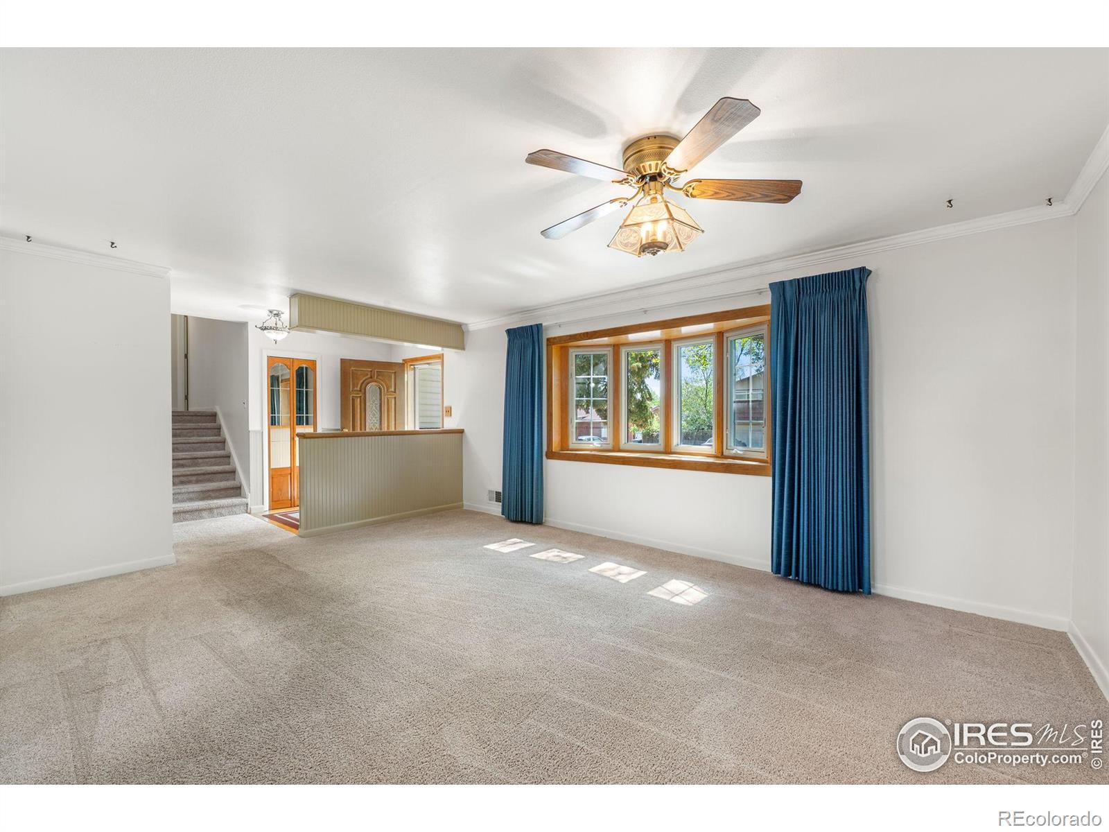 MLS Image #6 for 10547  lipan street,northglenn, Colorado