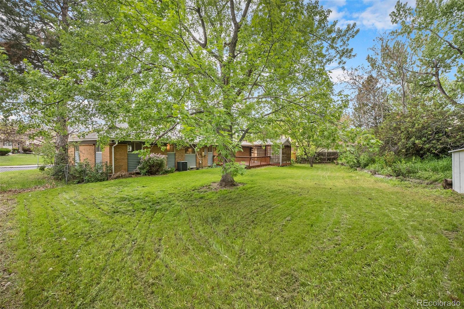 MLS Image #19 for 8269  zephyr street,arvada, Colorado
