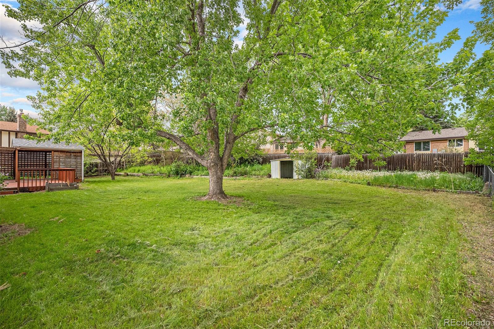 MLS Image #20 for 8269  zephyr street,arvada, Colorado