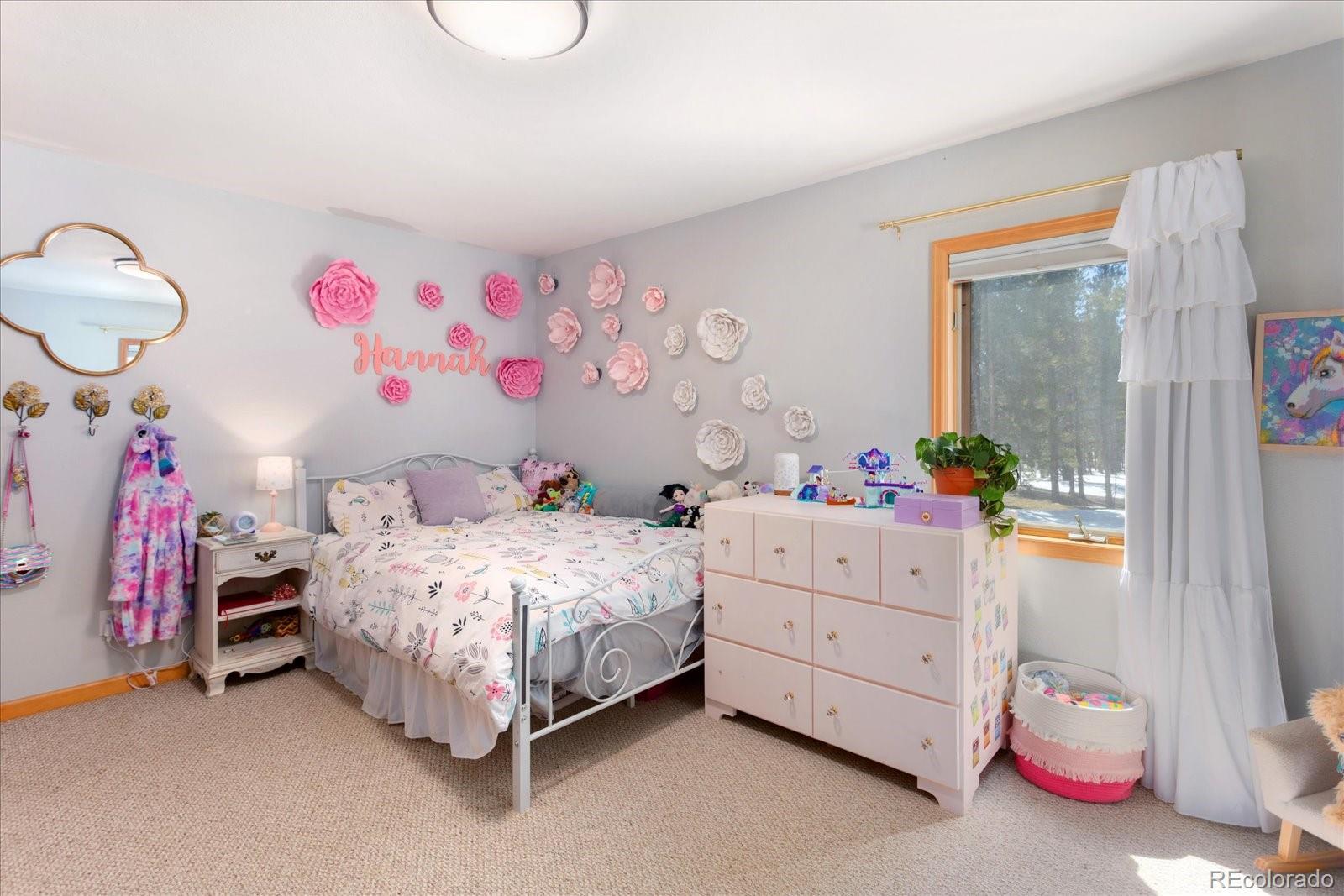MLS Image #38 for 344  baby doe drive,leadville, Colorado