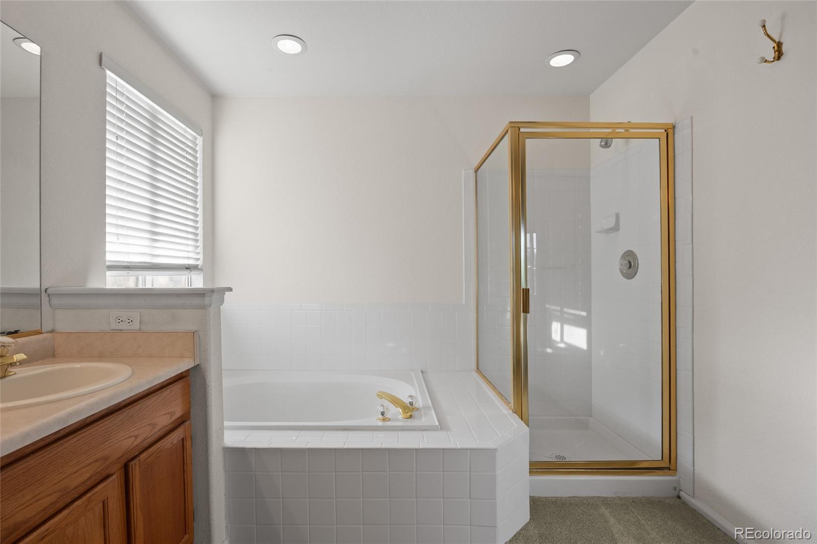 MLS Image #26 for 3087  deer creek trail,highlands ranch, Colorado