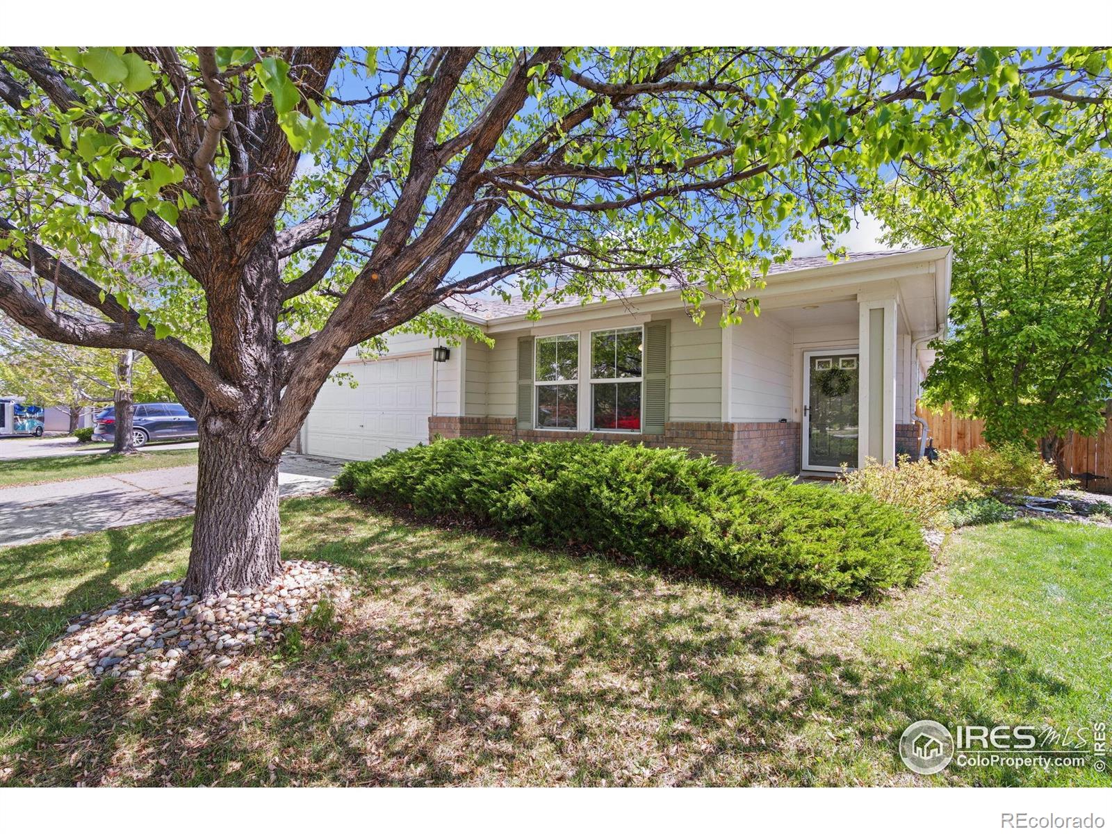CMA Image for 6926  autumn ridge drive,Fort Collins, Colorado