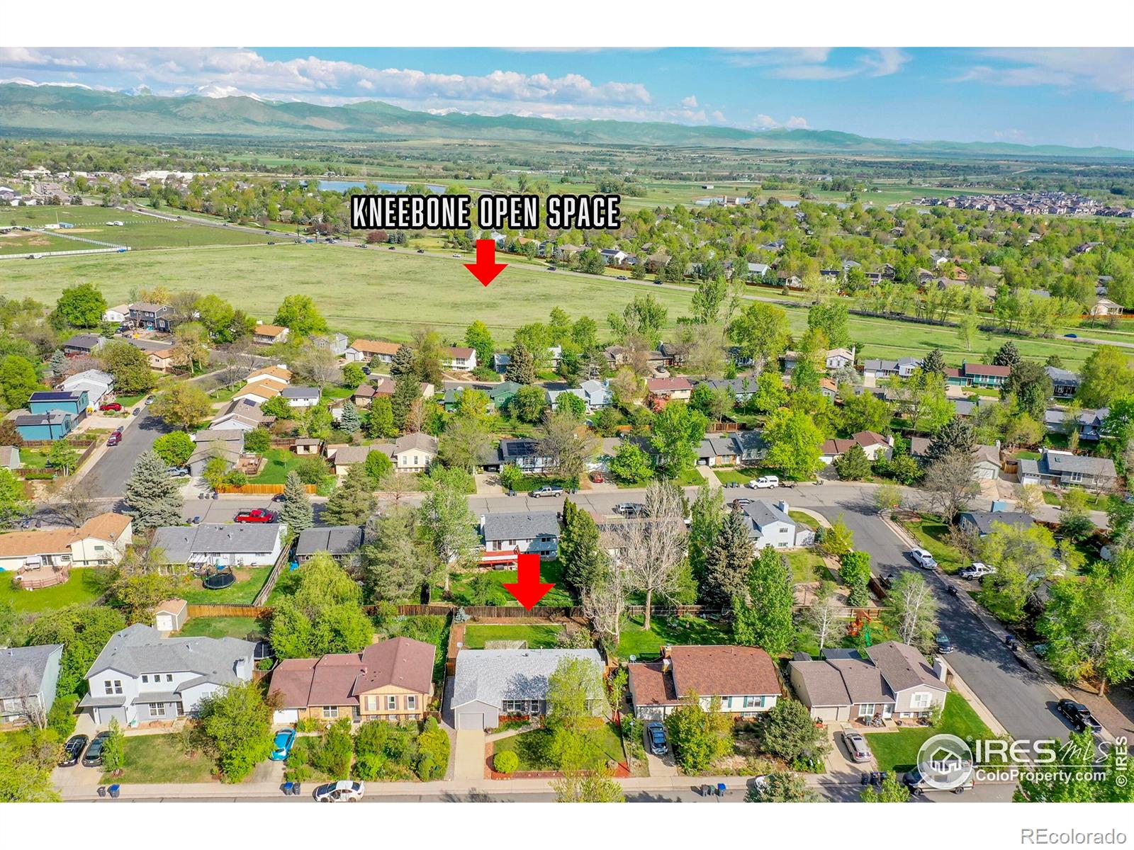 MLS Image #35 for 1201  stein street,lafayette, Colorado