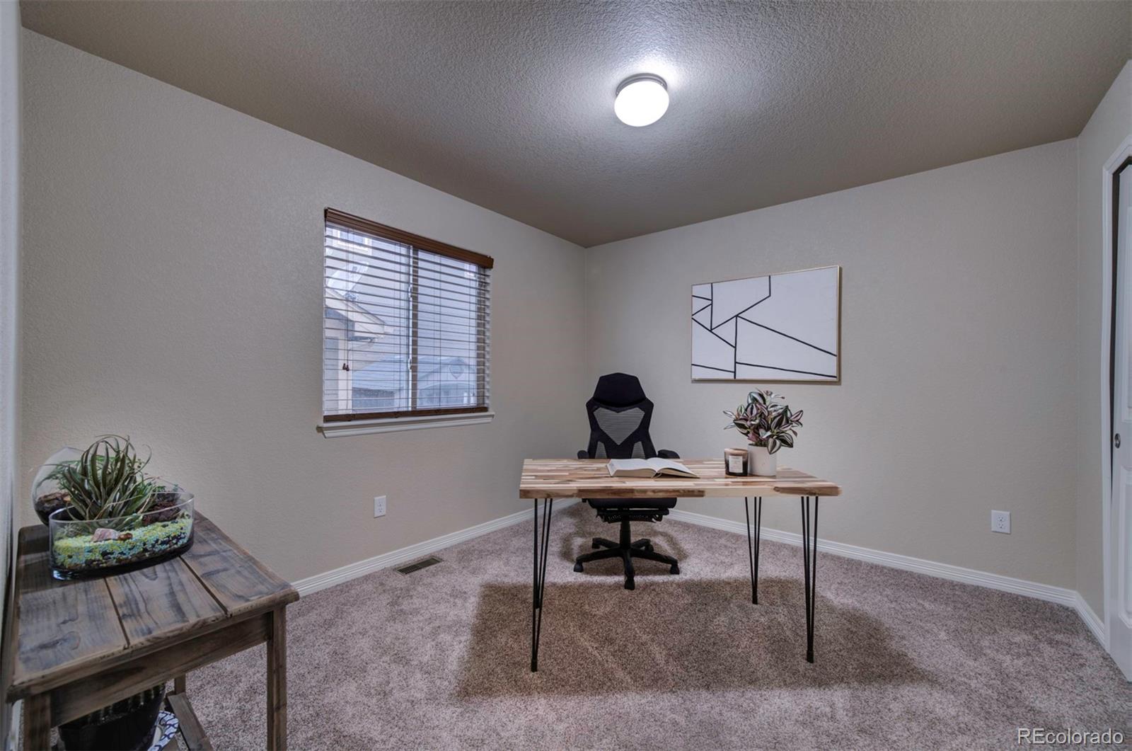 MLS Image #11 for 6752  red cardinal loop,colorado springs, Colorado