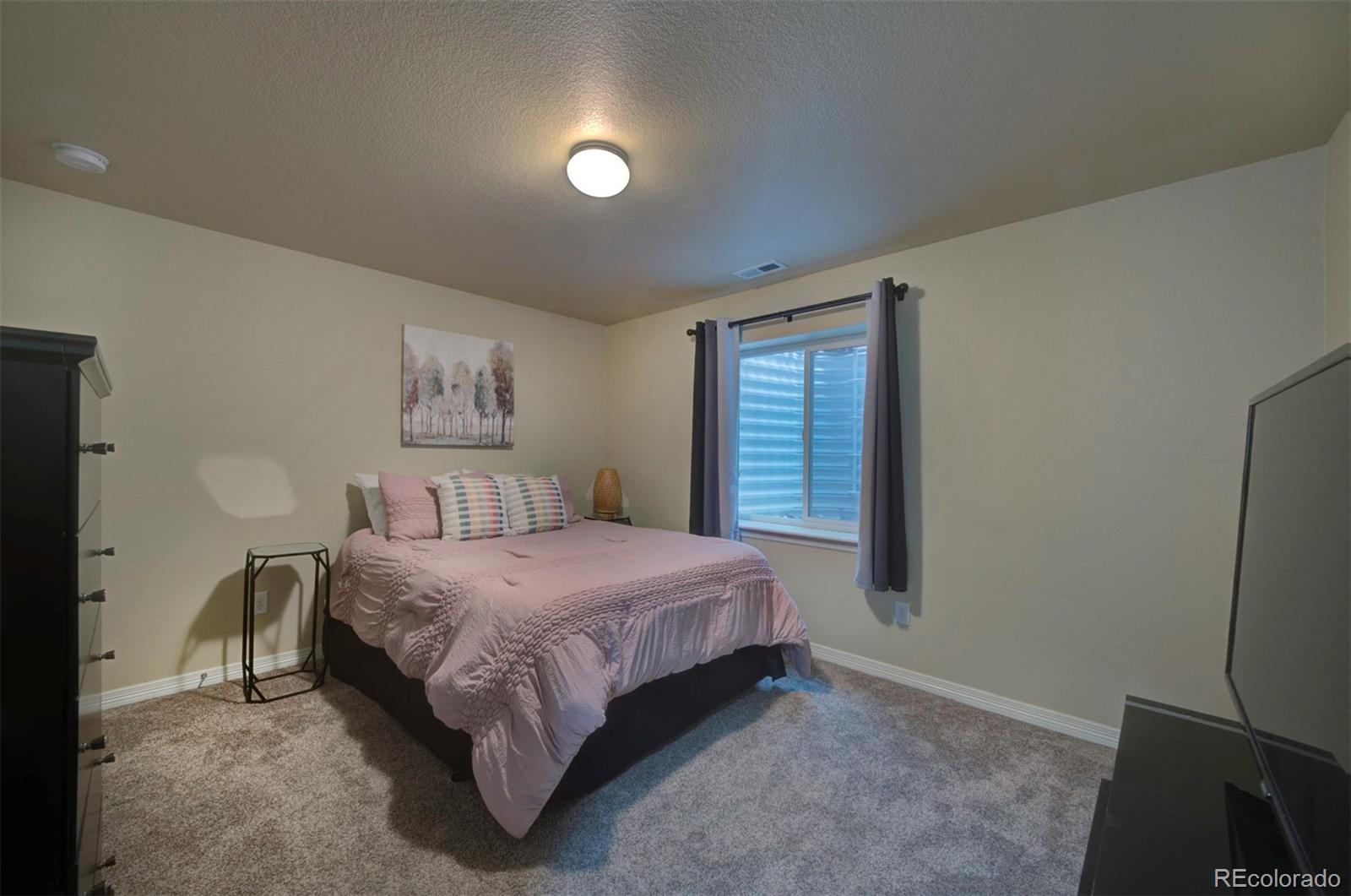 MLS Image #19 for 6752  red cardinal loop,colorado springs, Colorado