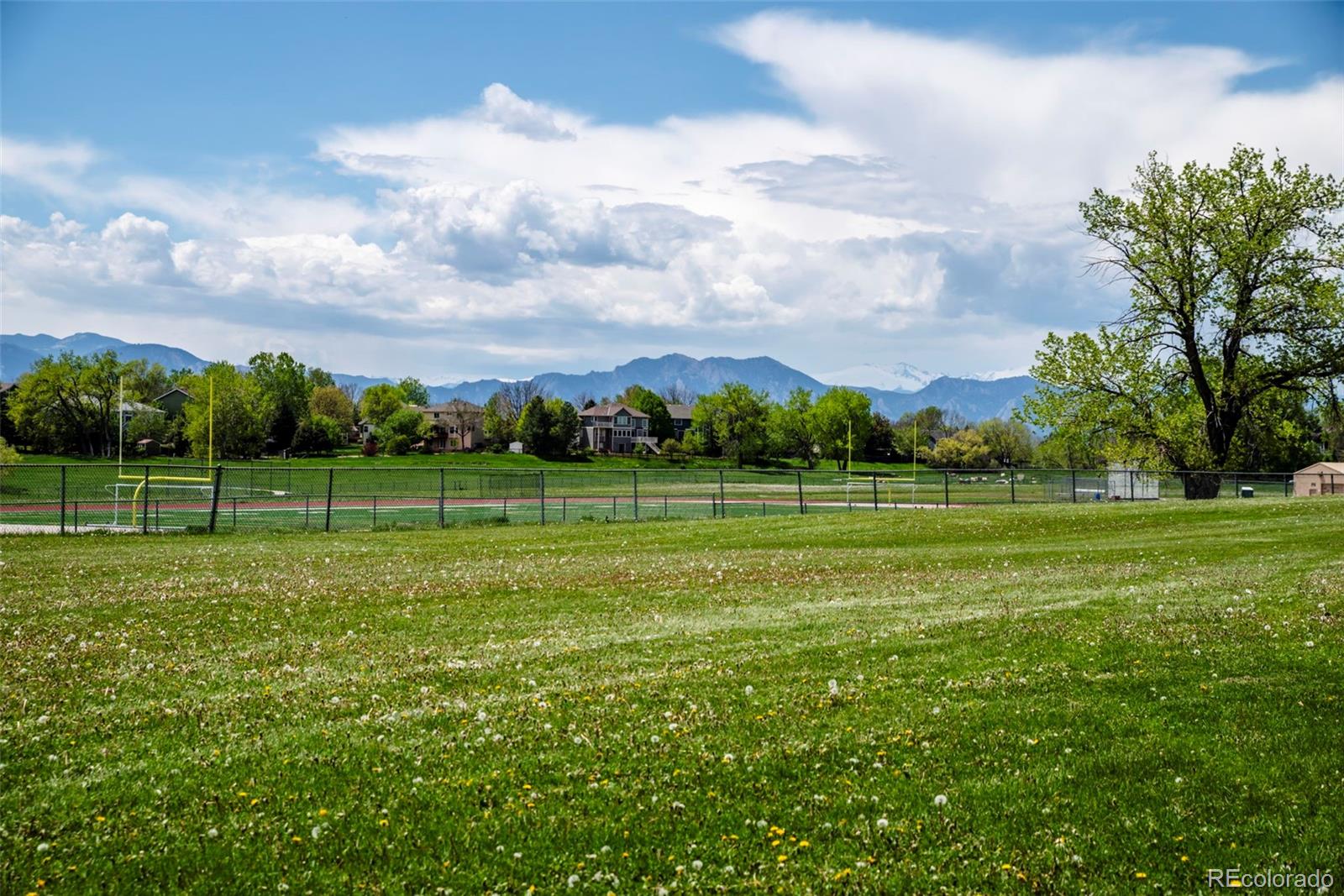 MLS Image #37 for 1606  iris street,broomfield, Colorado