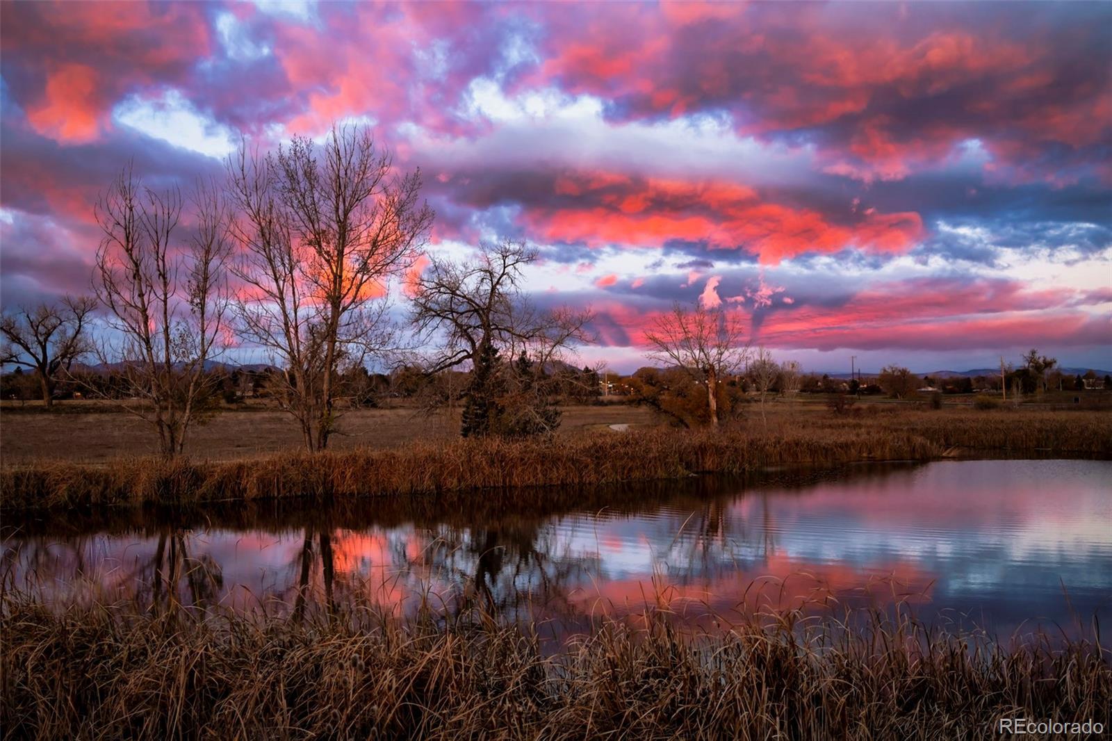 MLS Image #40 for 1606  iris street,broomfield, Colorado