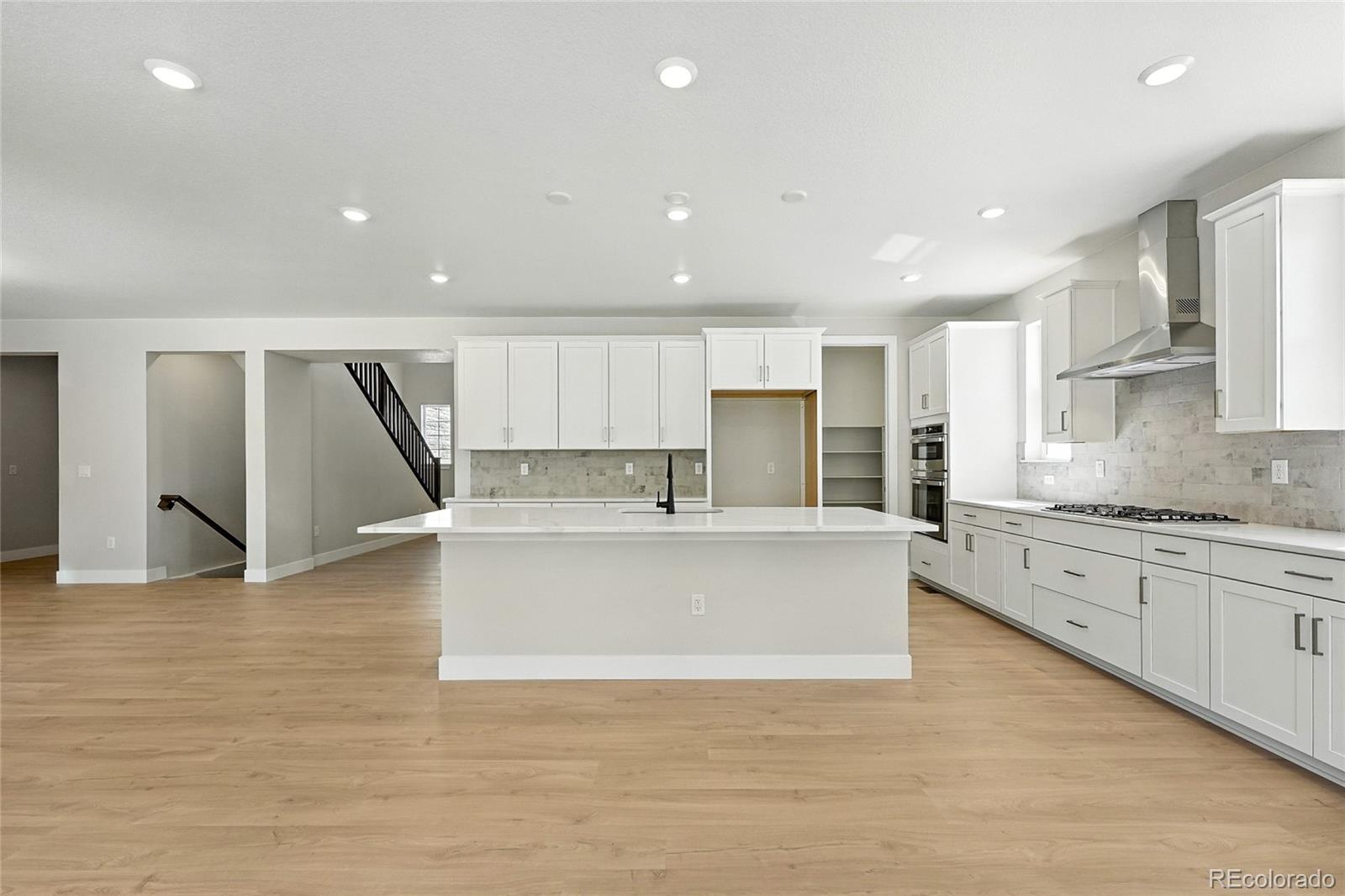 MLS Image #9 for 1672  fox trotter point,castle rock, Colorado
