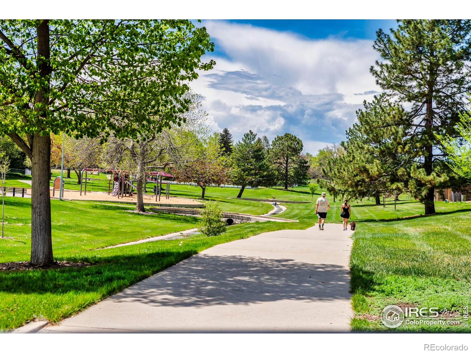 MLS Image #35 for 1606  iris street,broomfield, Colorado