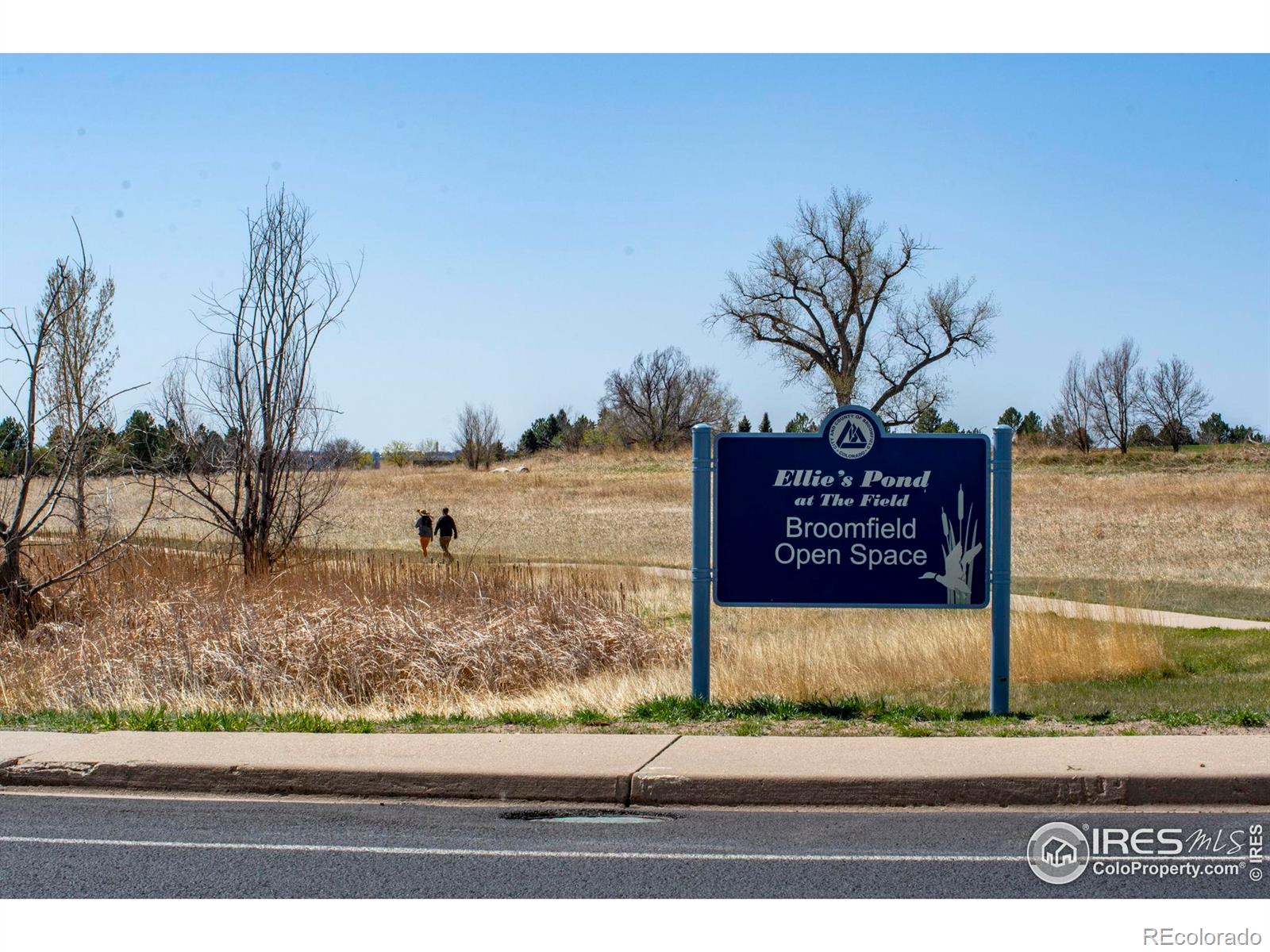 MLS Image #38 for 1606  iris street,broomfield, Colorado