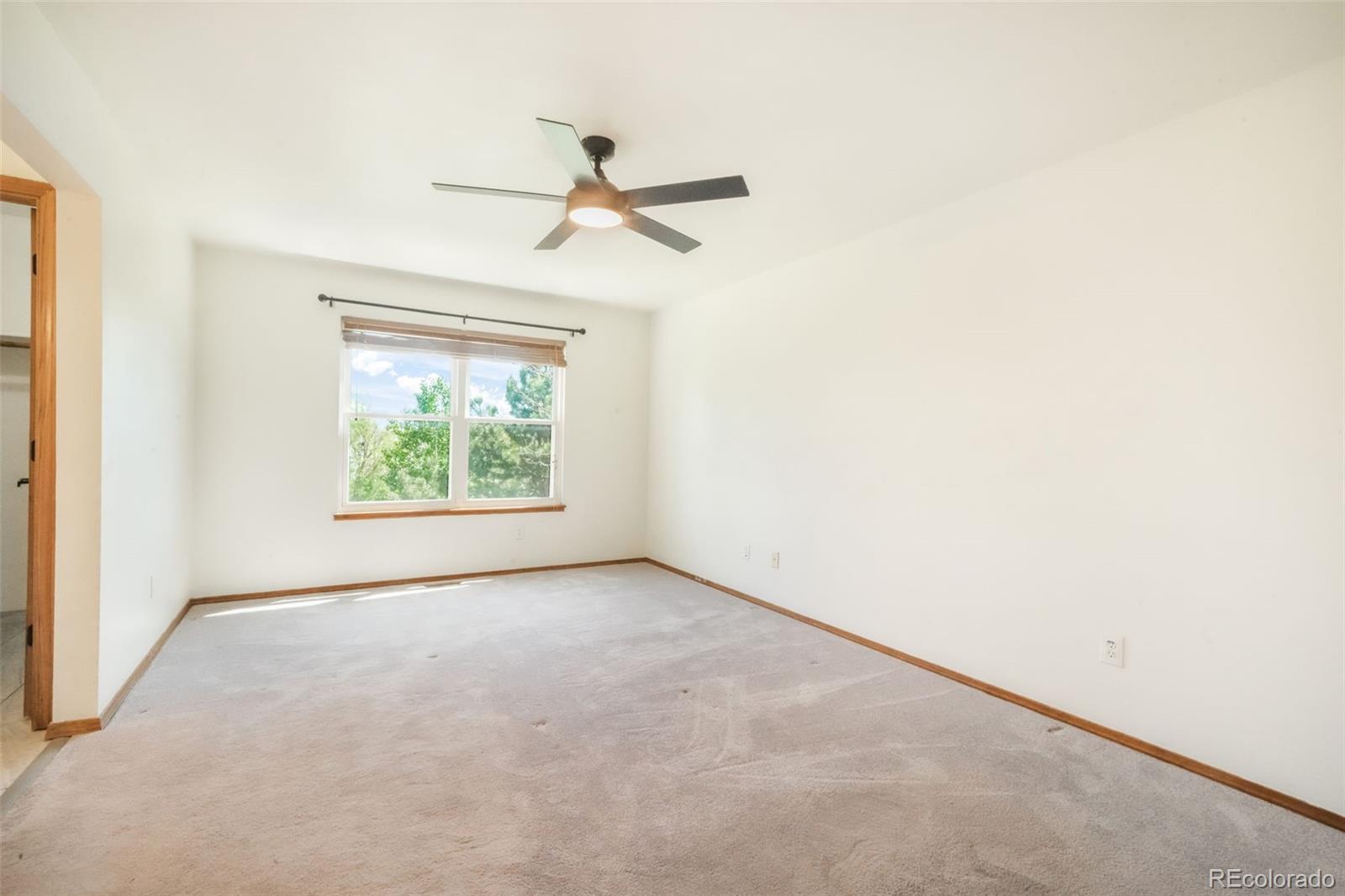 MLS Image #16 for 3070  frazier lane,colorado springs, Colorado