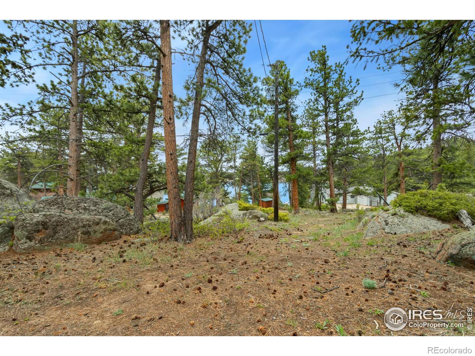 MLS Image #2 for 69  lakeview drive,red feather lakes, Colorado