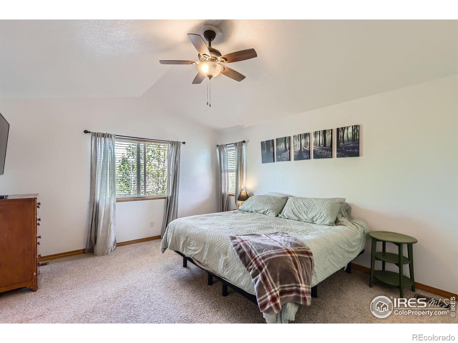 MLS Image #13 for 6601  viburnum street,wellington, Colorado