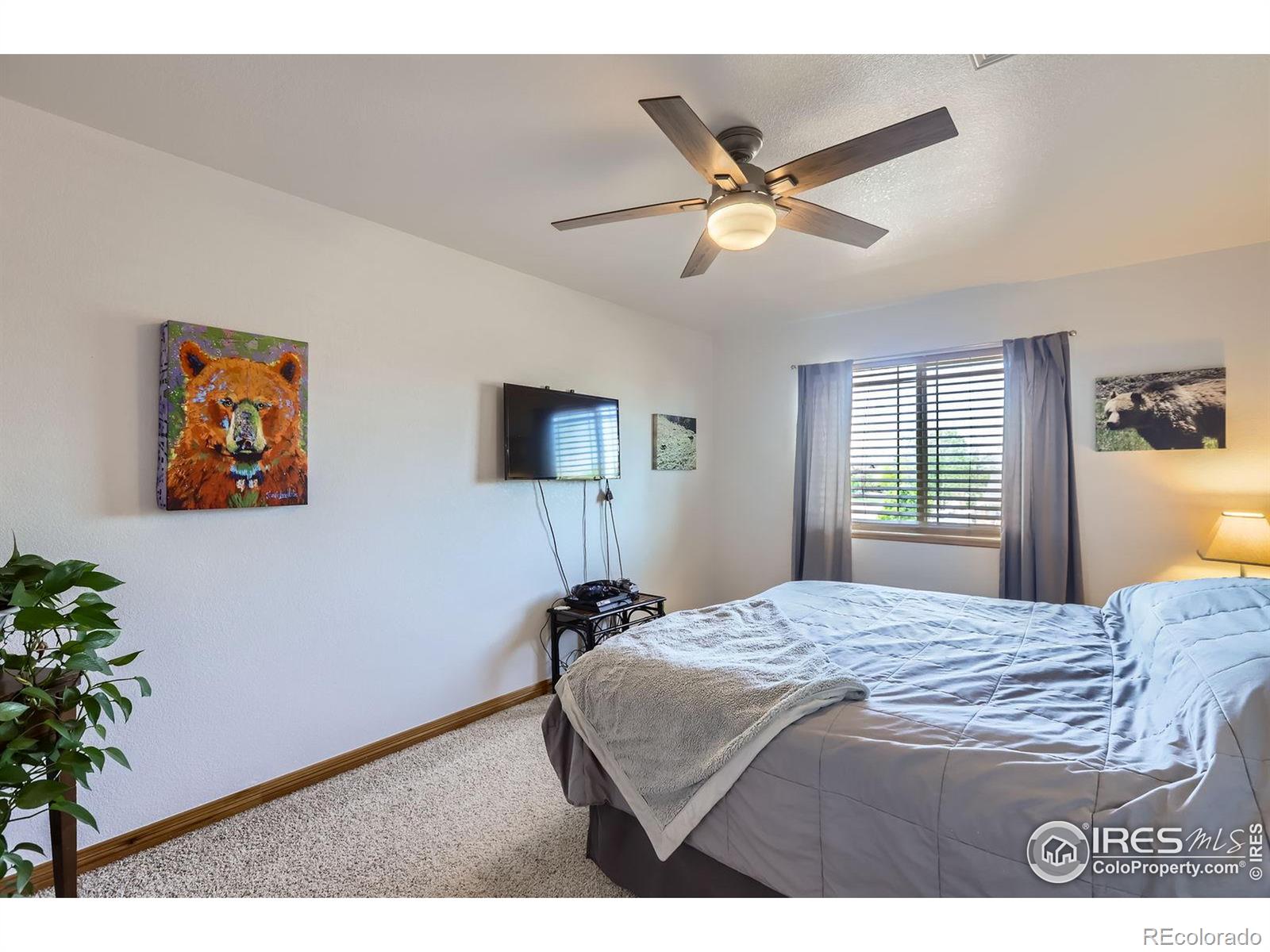 MLS Image #19 for 6601  viburnum street,wellington, Colorado
