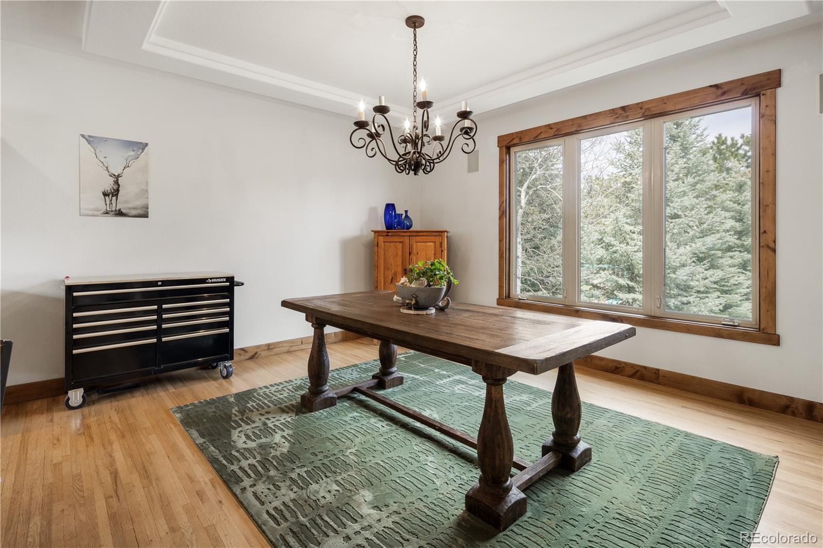 MLS Image #14 for 1654  muirfield lane,evergreen, Colorado