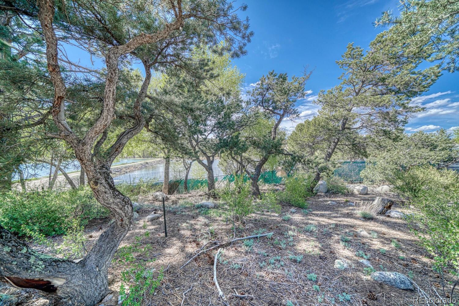MLS Image #42 for 22448  county road 287 ,nathrop, Colorado