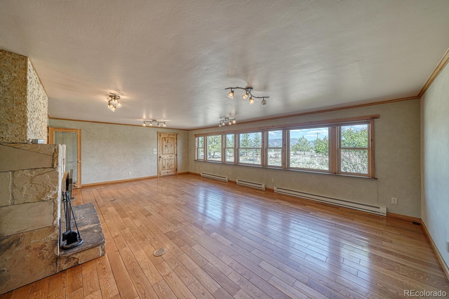 MLS Image #7 for 22448  county road 287 ,nathrop, Colorado