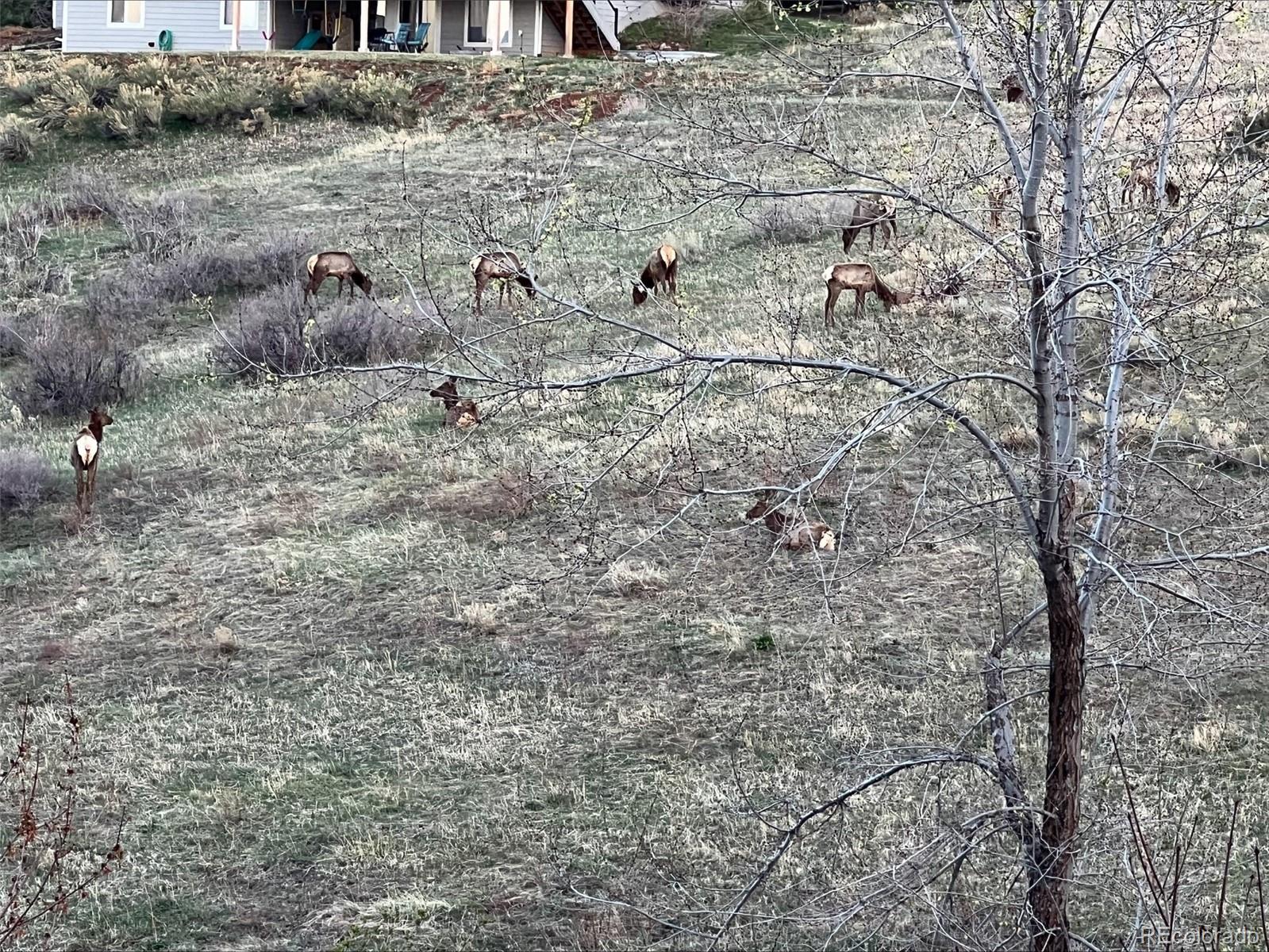 MLS Image #49 for 19105  eagle ridge drive,golden, Colorado