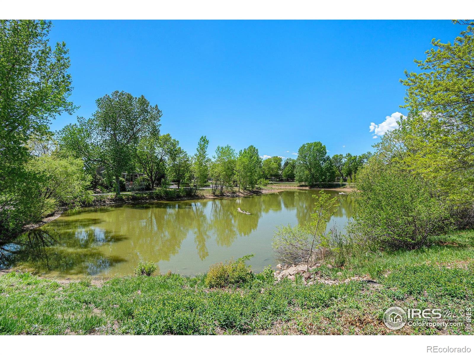 MLS Image #28 for 5000  boardwalk drive,fort collins, Colorado
