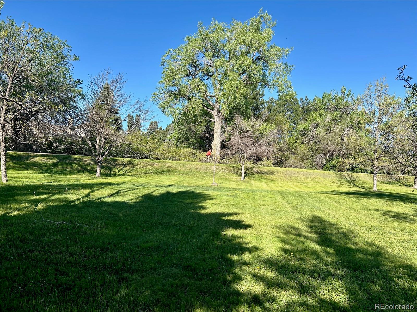 MLS Image #42 for 5196 s williams drive,greenwood village, Colorado
