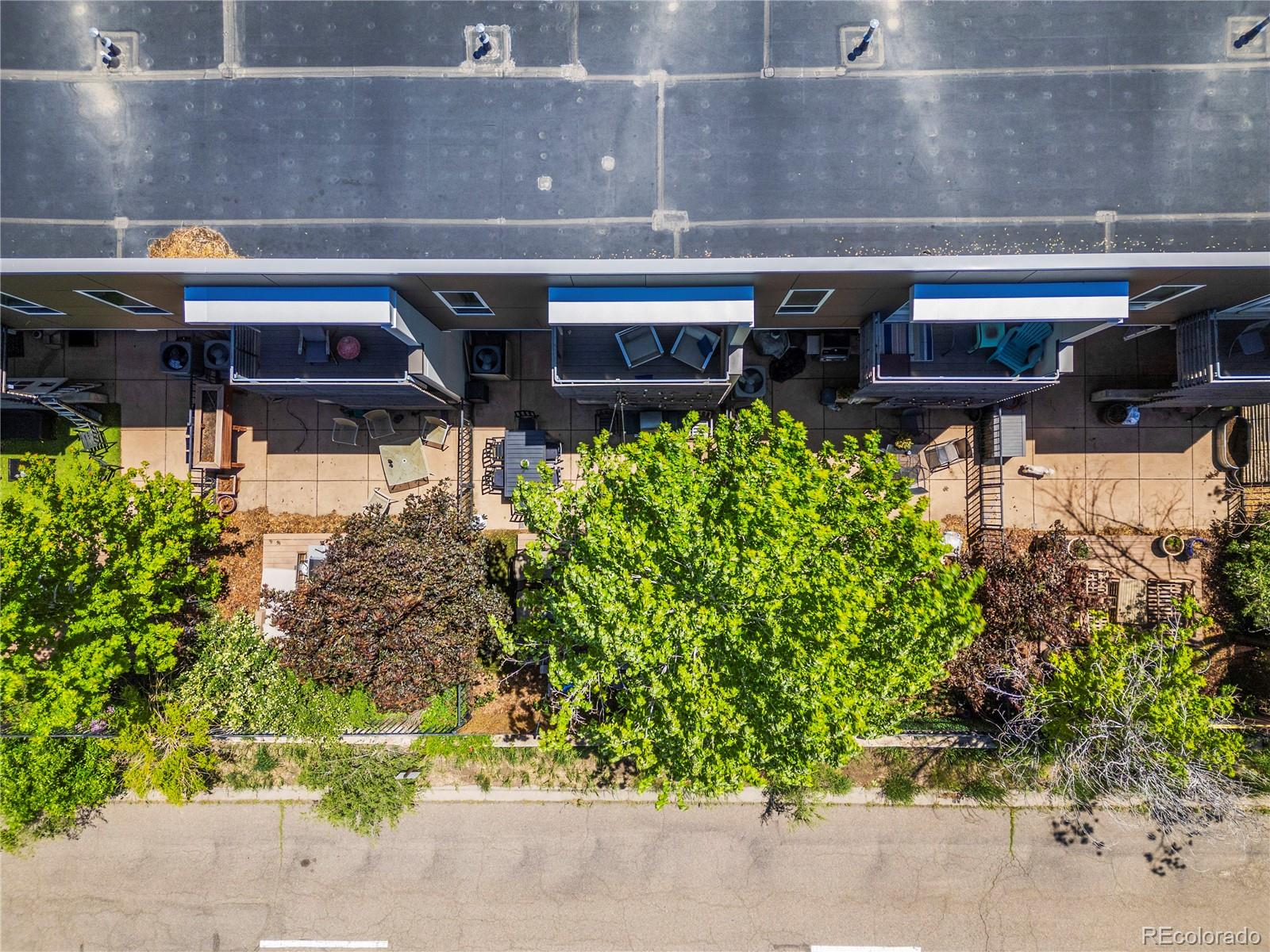 MLS Image #28 for 3133  blake street,denver, Colorado