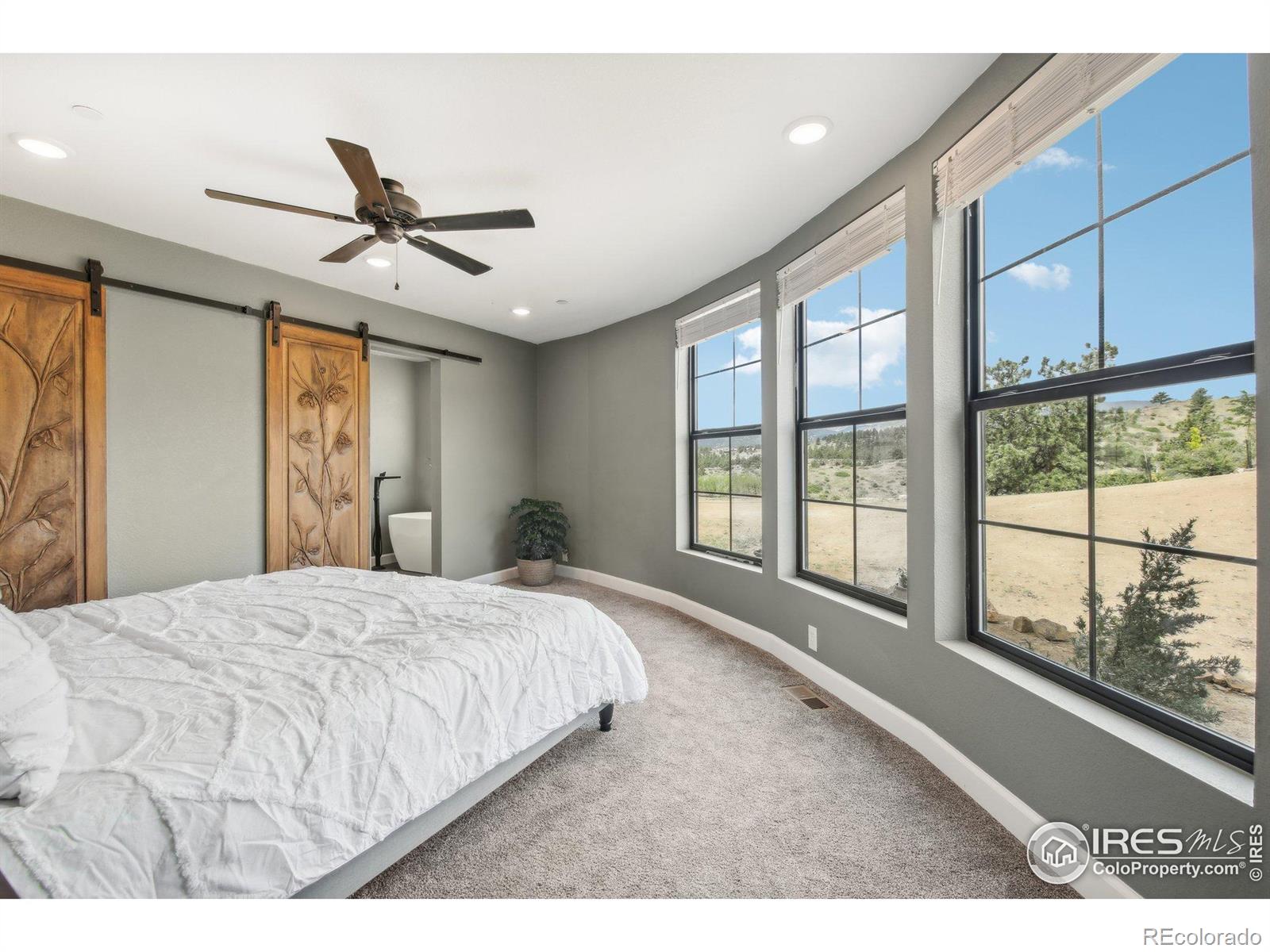 MLS Image #28 for 2118  dry creek drive,lyons, Colorado