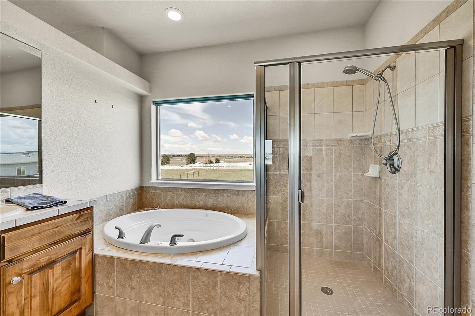 MLS Image #17 for 19045  shiloh ranch drive,colorado springs, Colorado