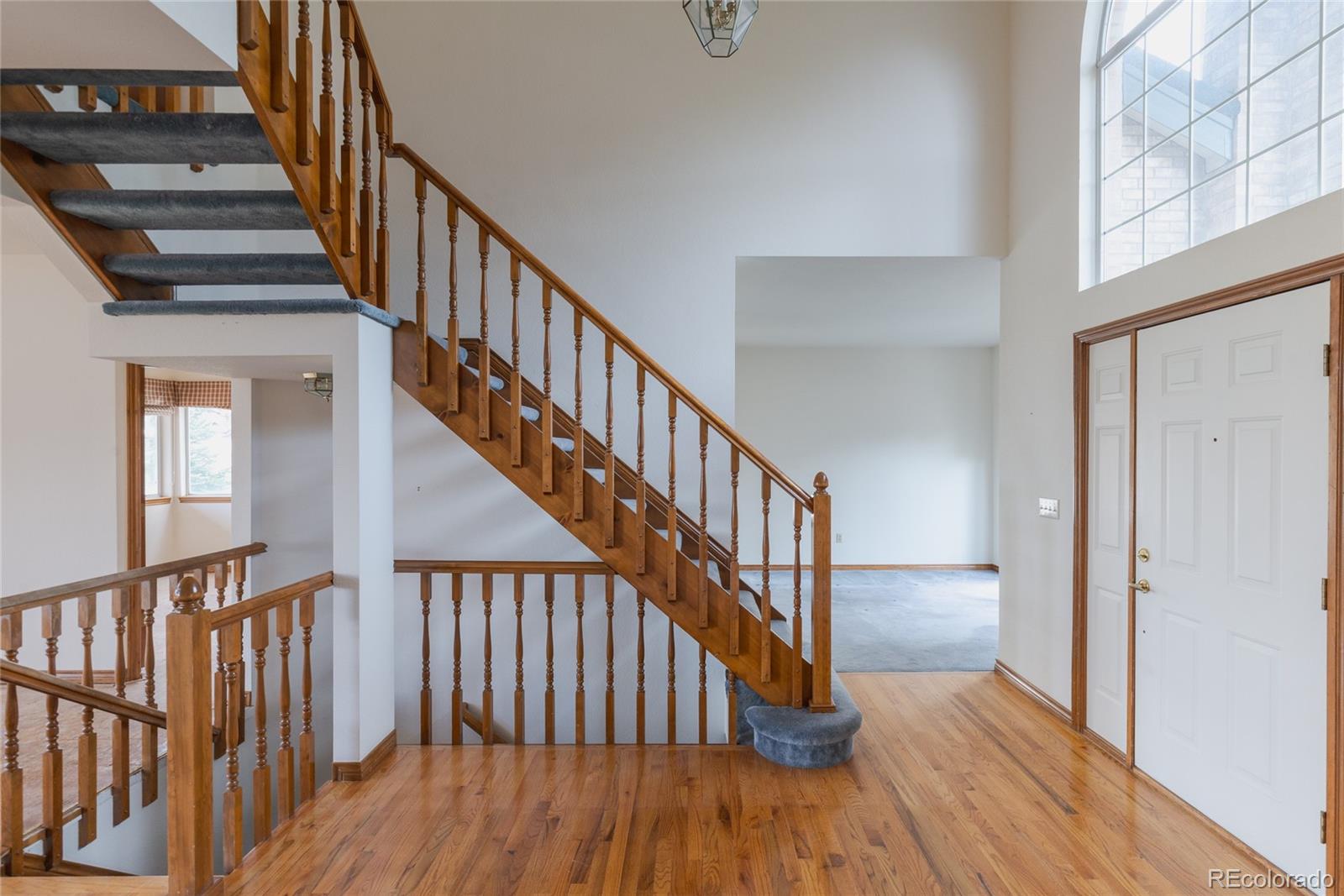 MLS Image #16 for 116  willowleaf drive,littleton, Colorado