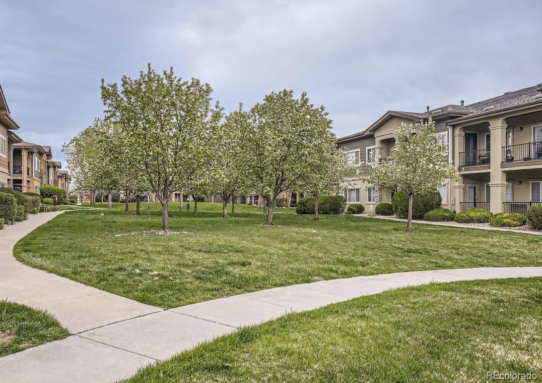 MLS Image #17 for 2239  calais drive,longmont, Colorado