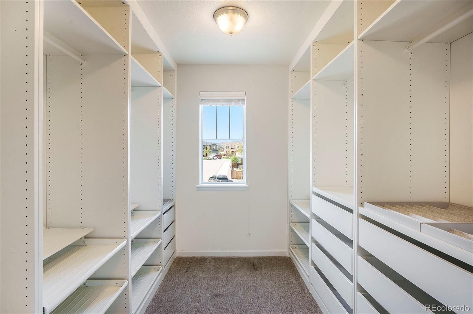 MLS Image #12 for 1018  mcmurdo circle,castle rock, Colorado