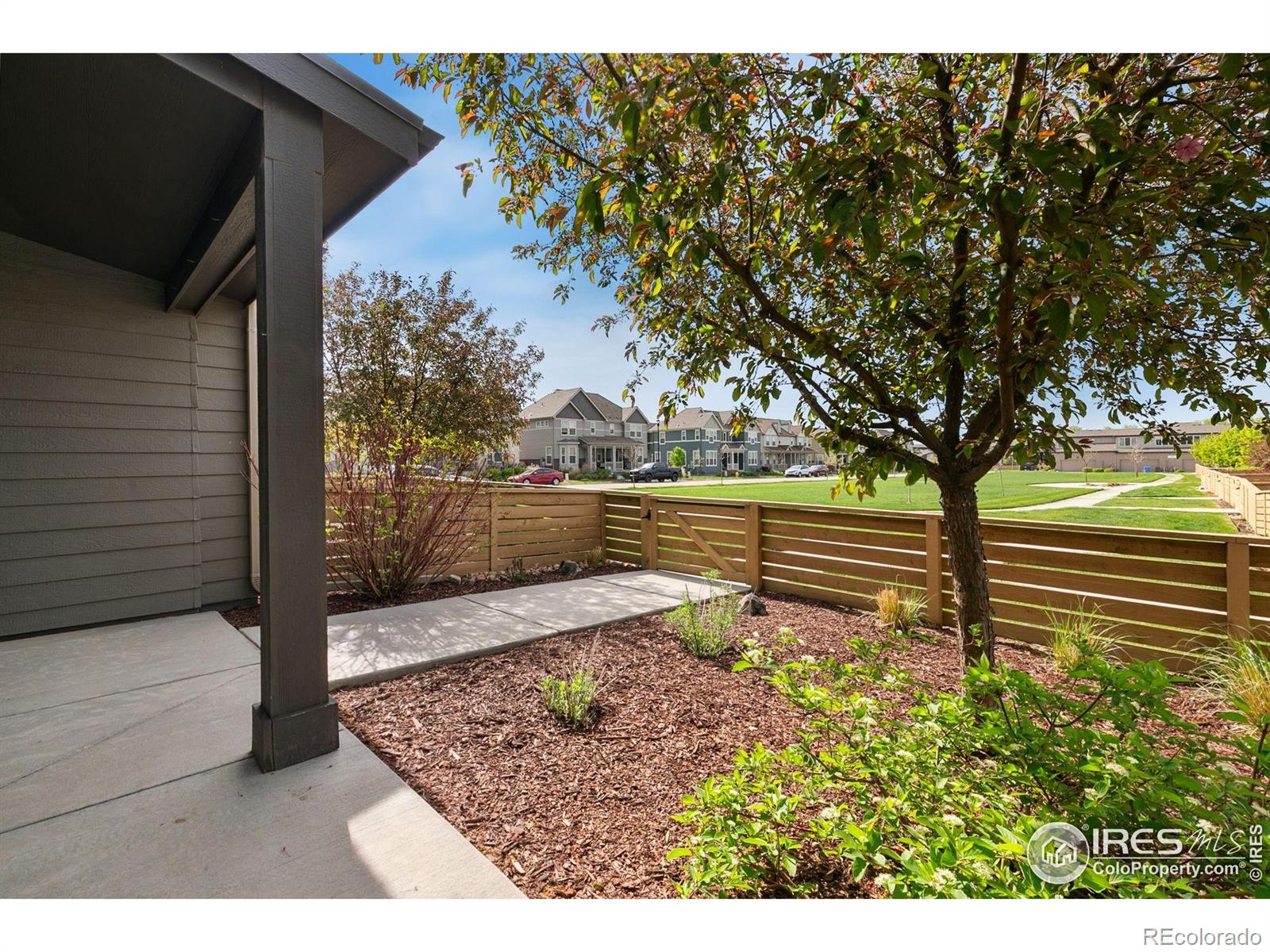 Report Image for 2603  Comet Lane,Fort Collins, Colorado