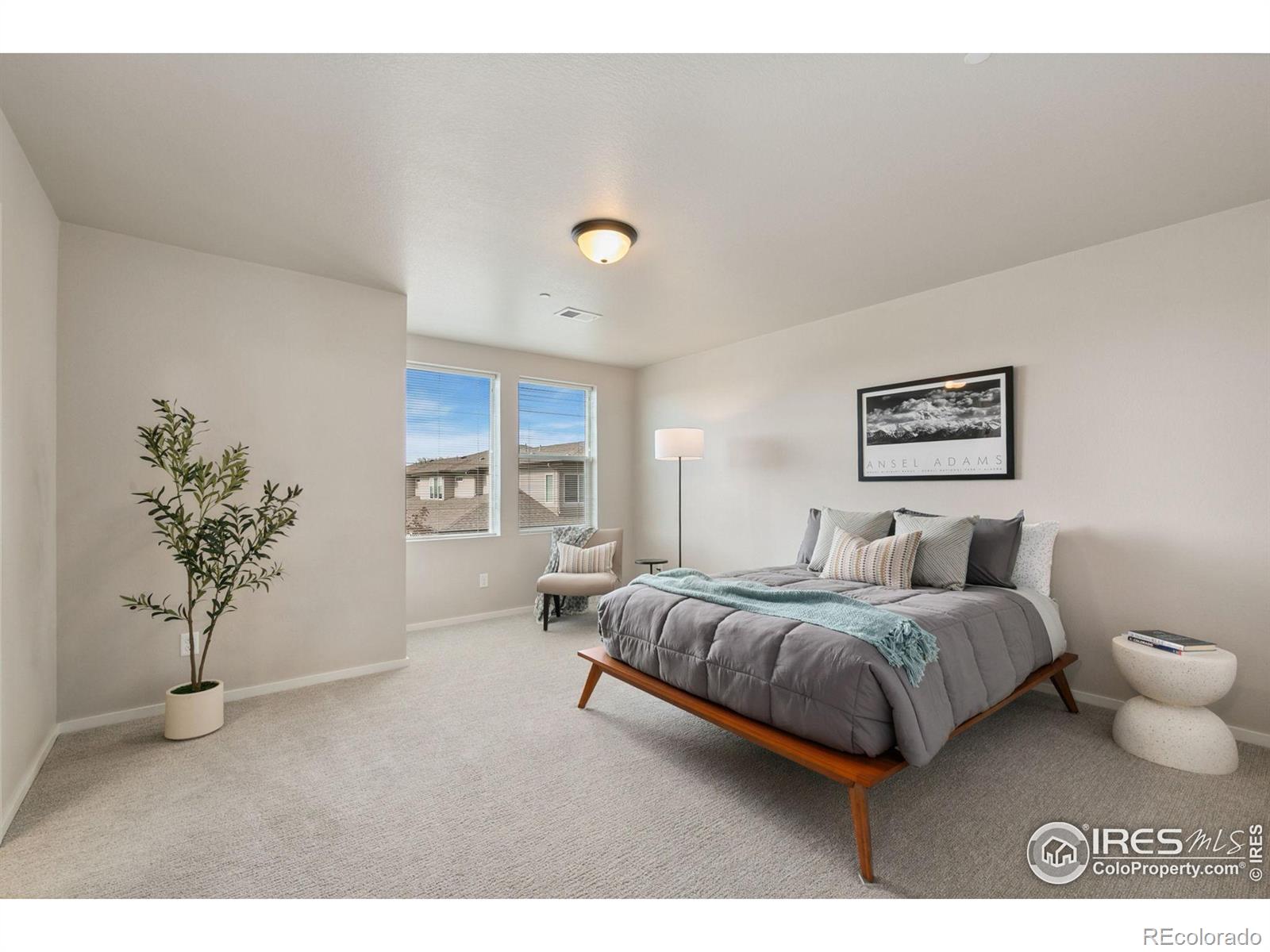 MLS Image #13 for 2603  comet lane,fort collins, Colorado