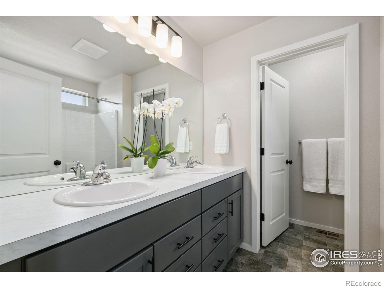 MLS Image #14 for 2603  comet lane,fort collins, Colorado