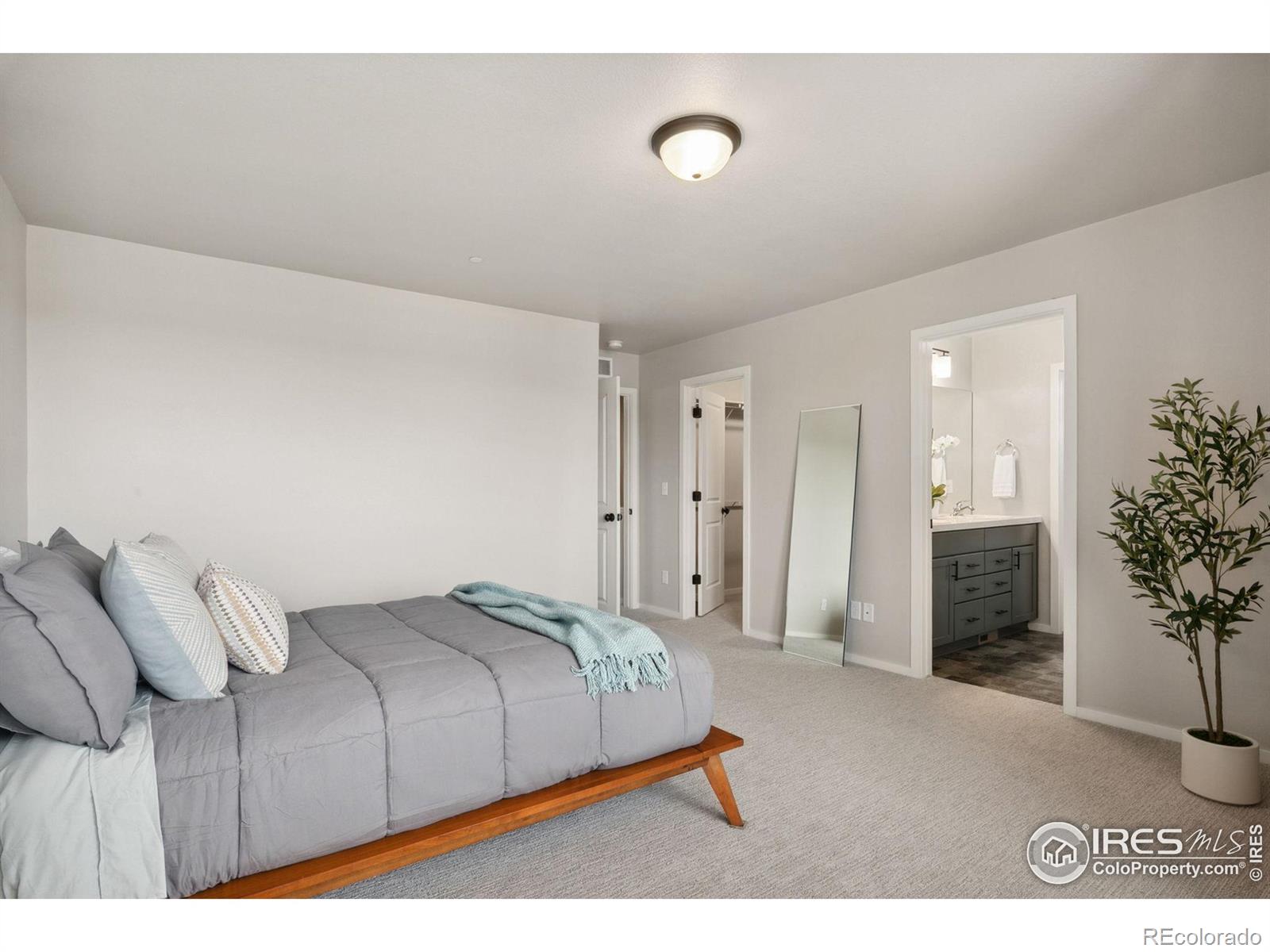 MLS Image #15 for 2603  comet lane,fort collins, Colorado