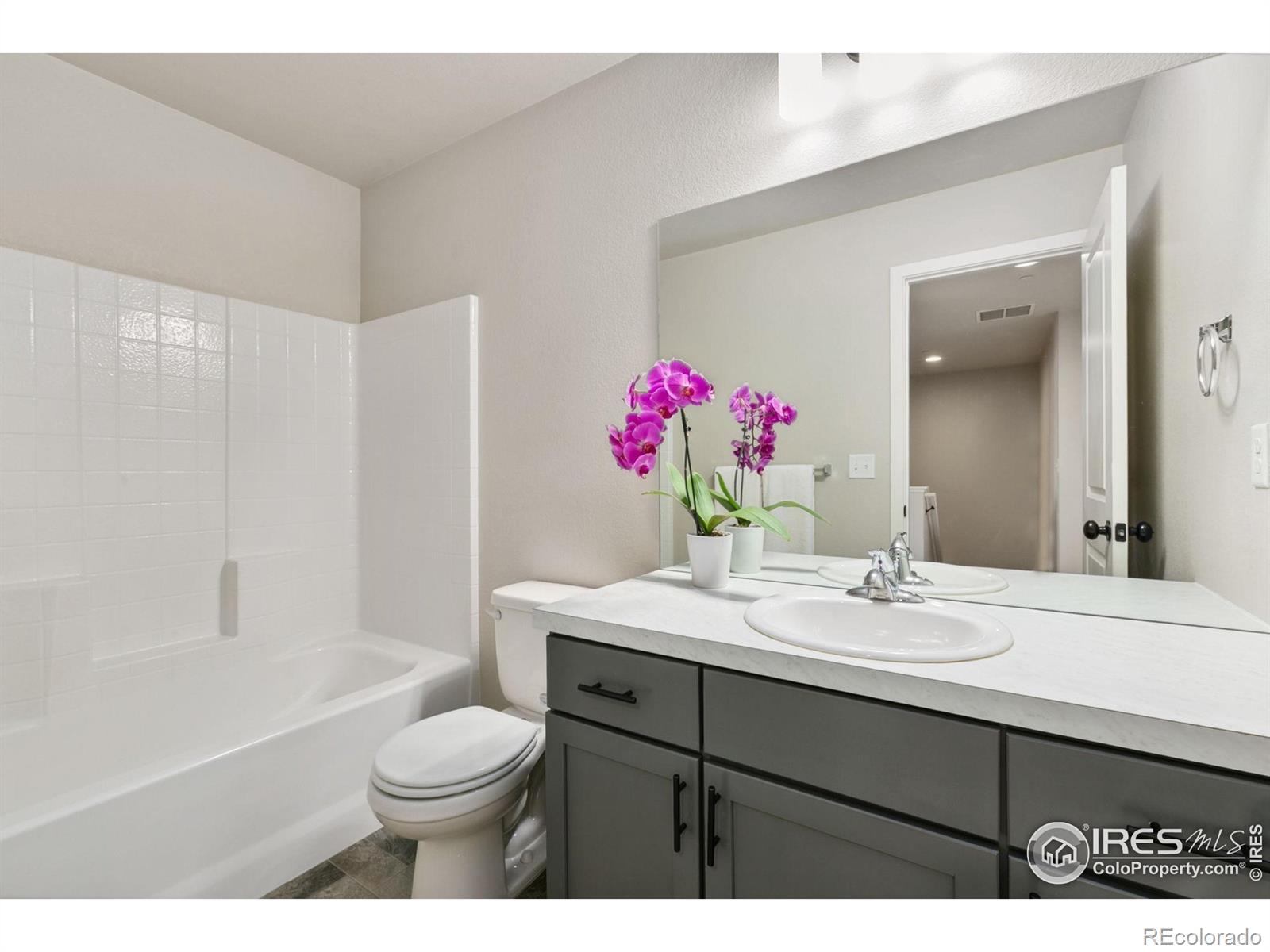 MLS Image #18 for 2603  comet lane,fort collins, Colorado