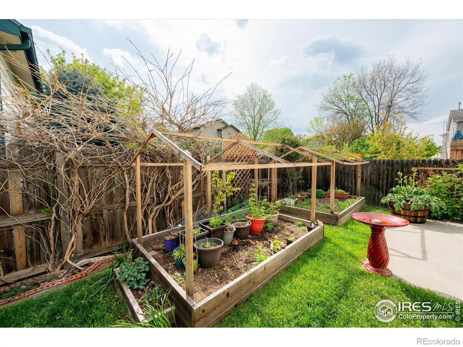 MLS Image #4 for 3487  warren farm drive,fort collins, Colorado