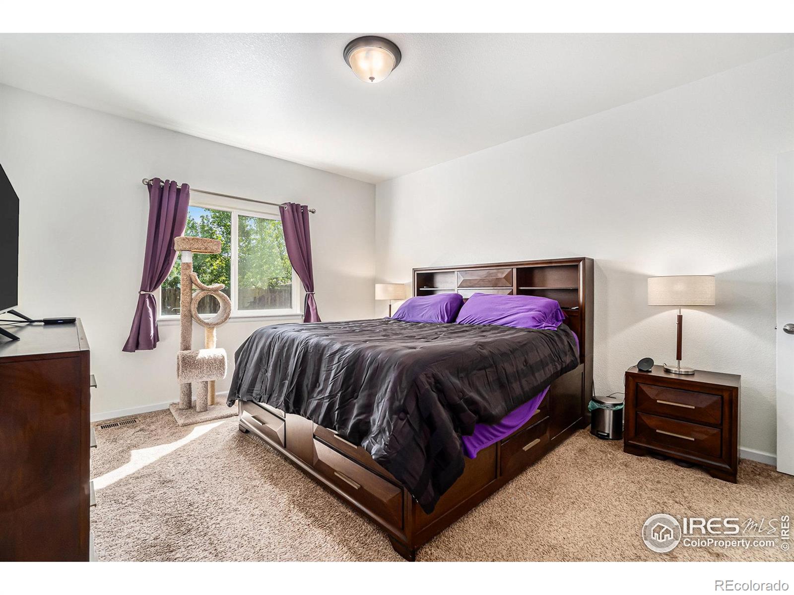 MLS Image #9 for 752  settlers drive,milliken, Colorado