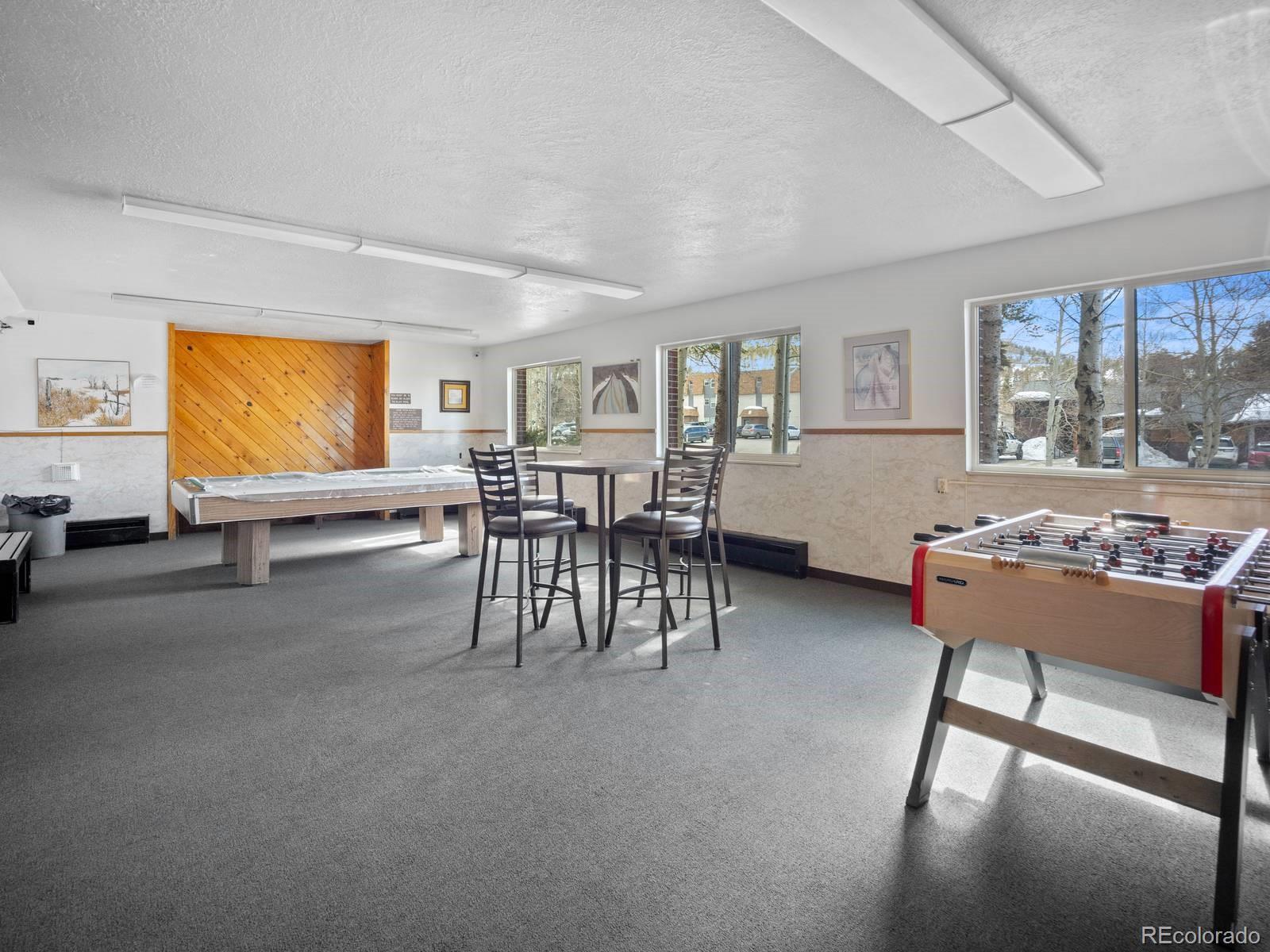 MLS Image #29 for 535  straight creek drive,dillon, Colorado