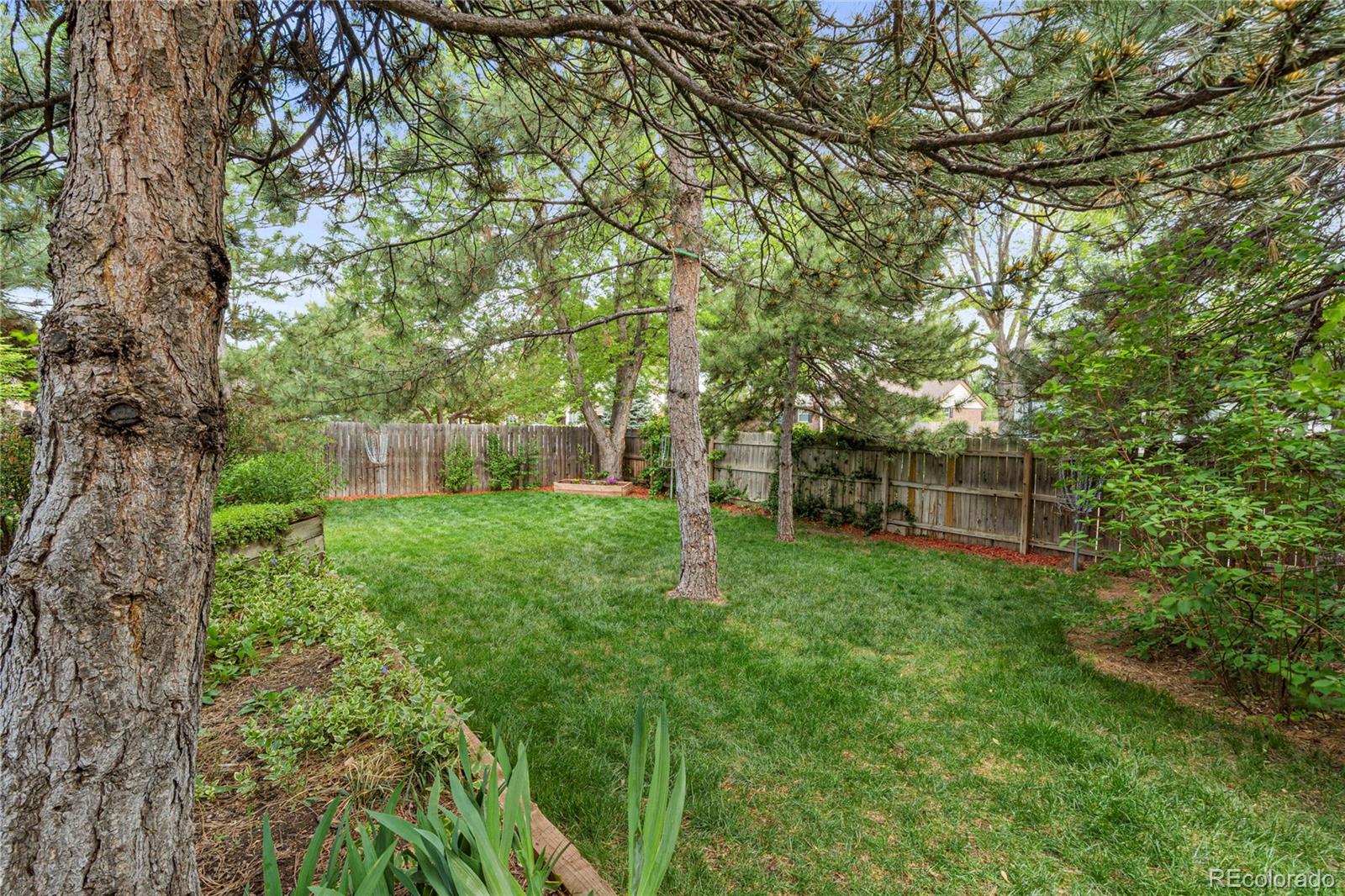 MLS Image #12 for 6222 s ames court,littleton, Colorado