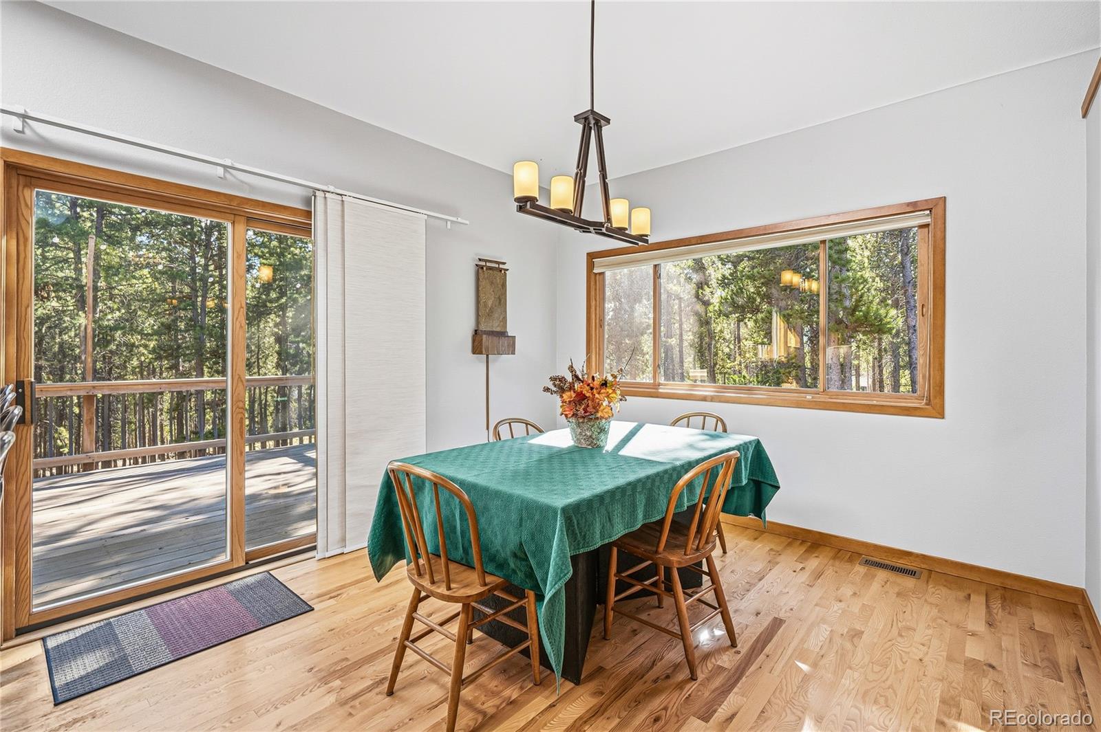 MLS Image #14 for 9274  sandy lane,conifer, Colorado