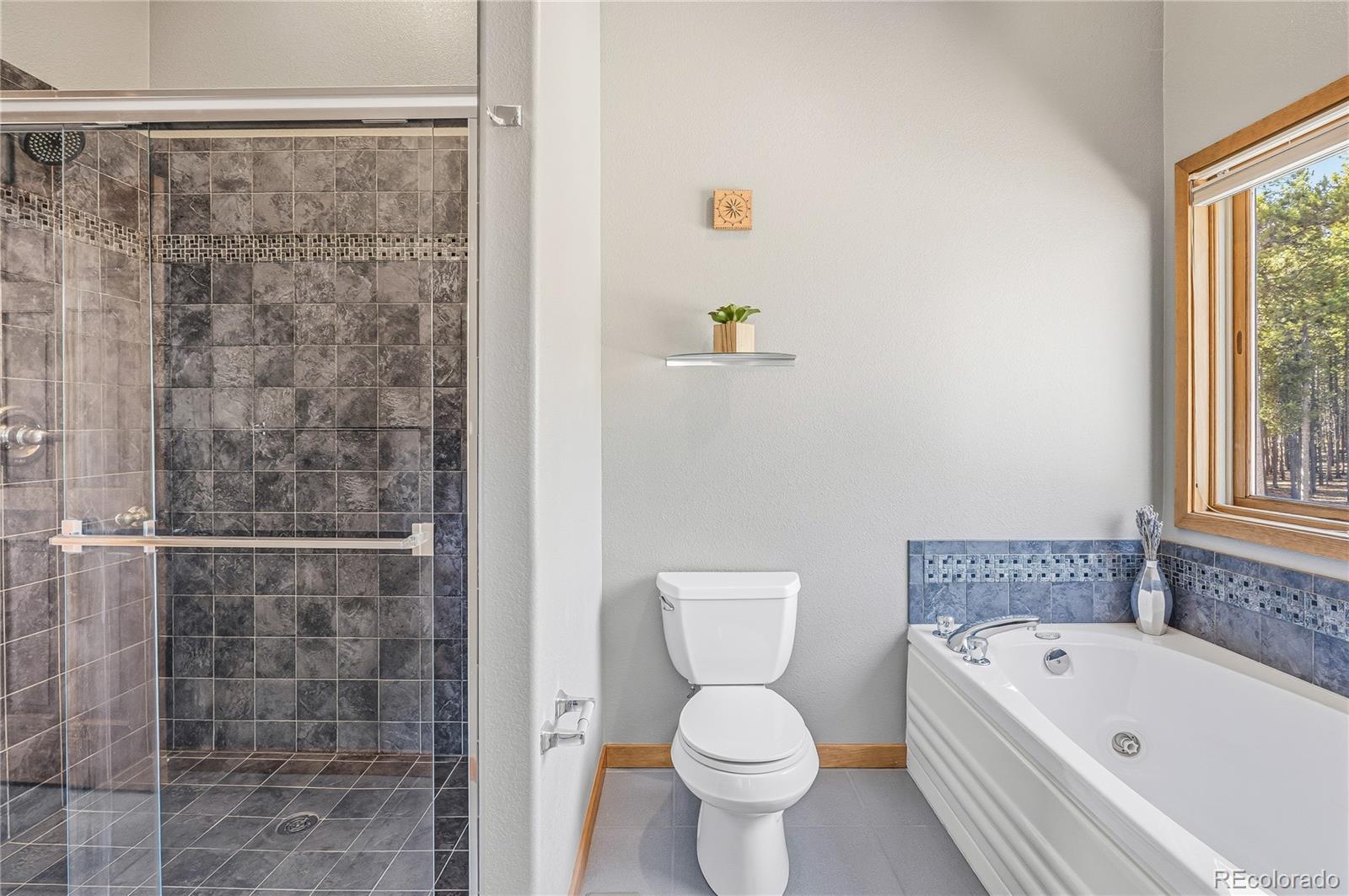MLS Image #22 for 9274  sandy lane,conifer, Colorado