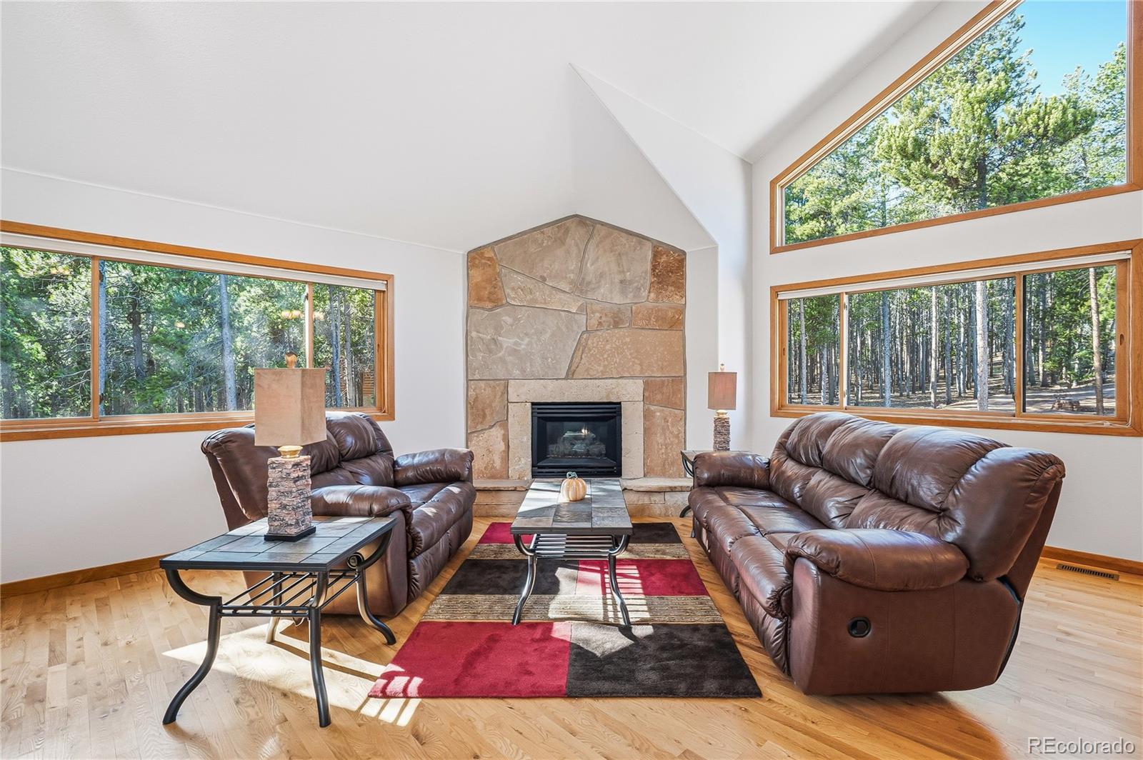 MLS Image #5 for 9274  sandy lane,conifer, Colorado
