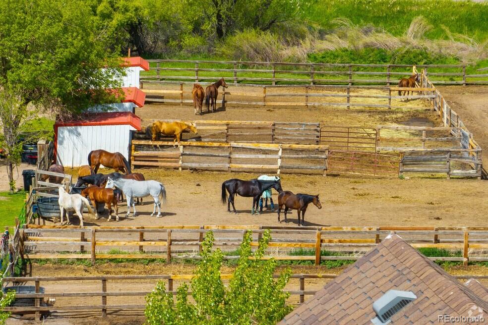 MLS Image #40 for 10369 e red mountain,littleton, Colorado