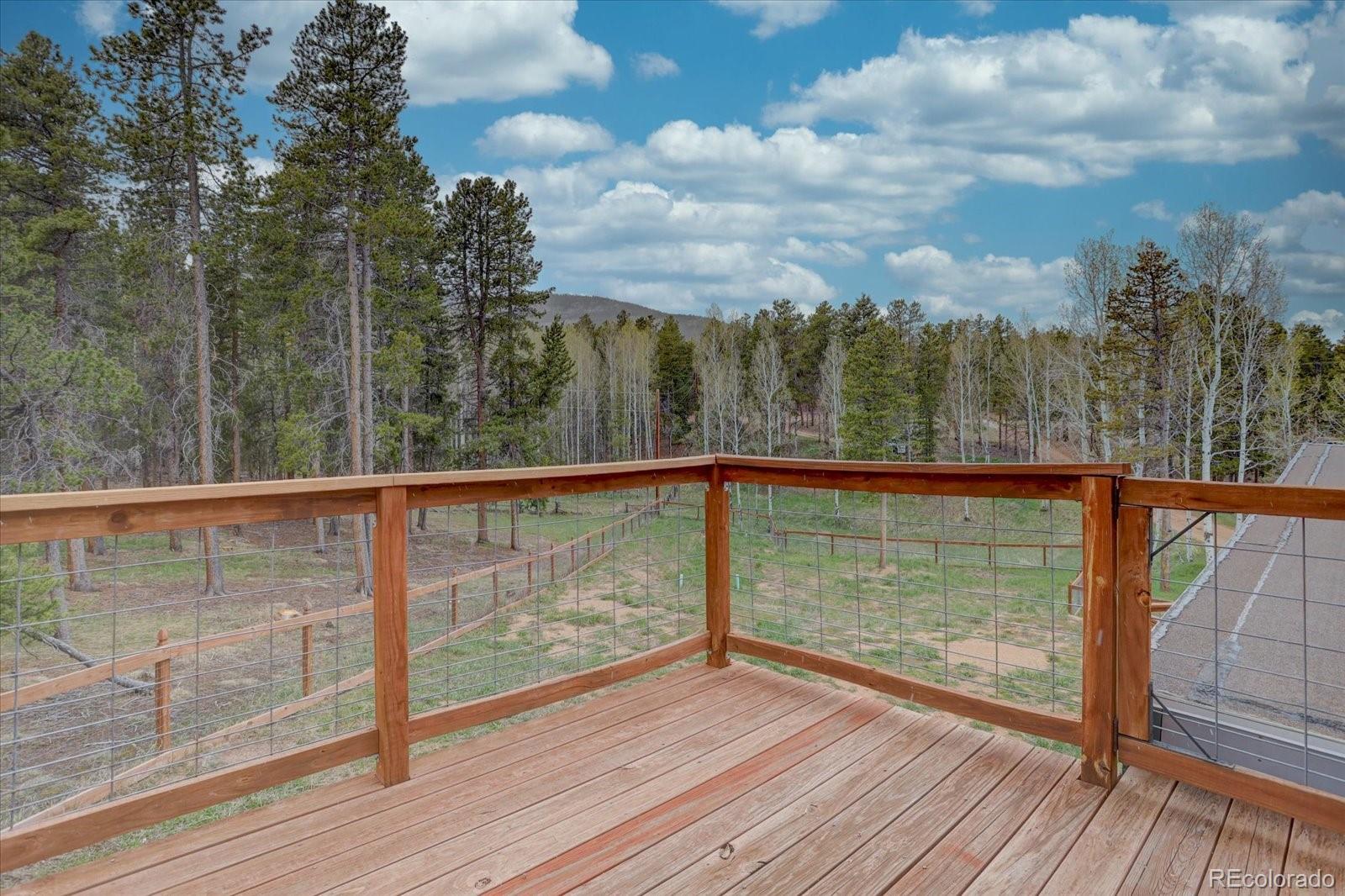 MLS Image #23 for 9288  krashin drive,conifer, Colorado