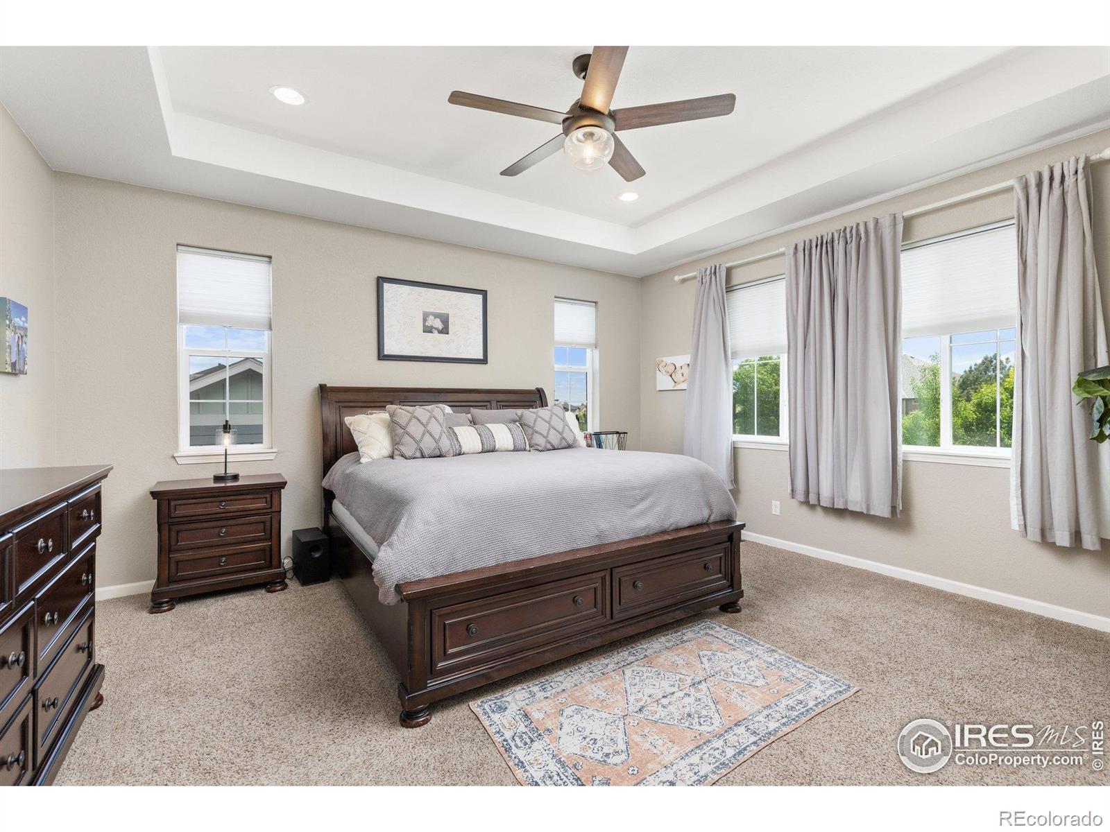 MLS Image #16 for 8265  blackwood drive,windsor, Colorado