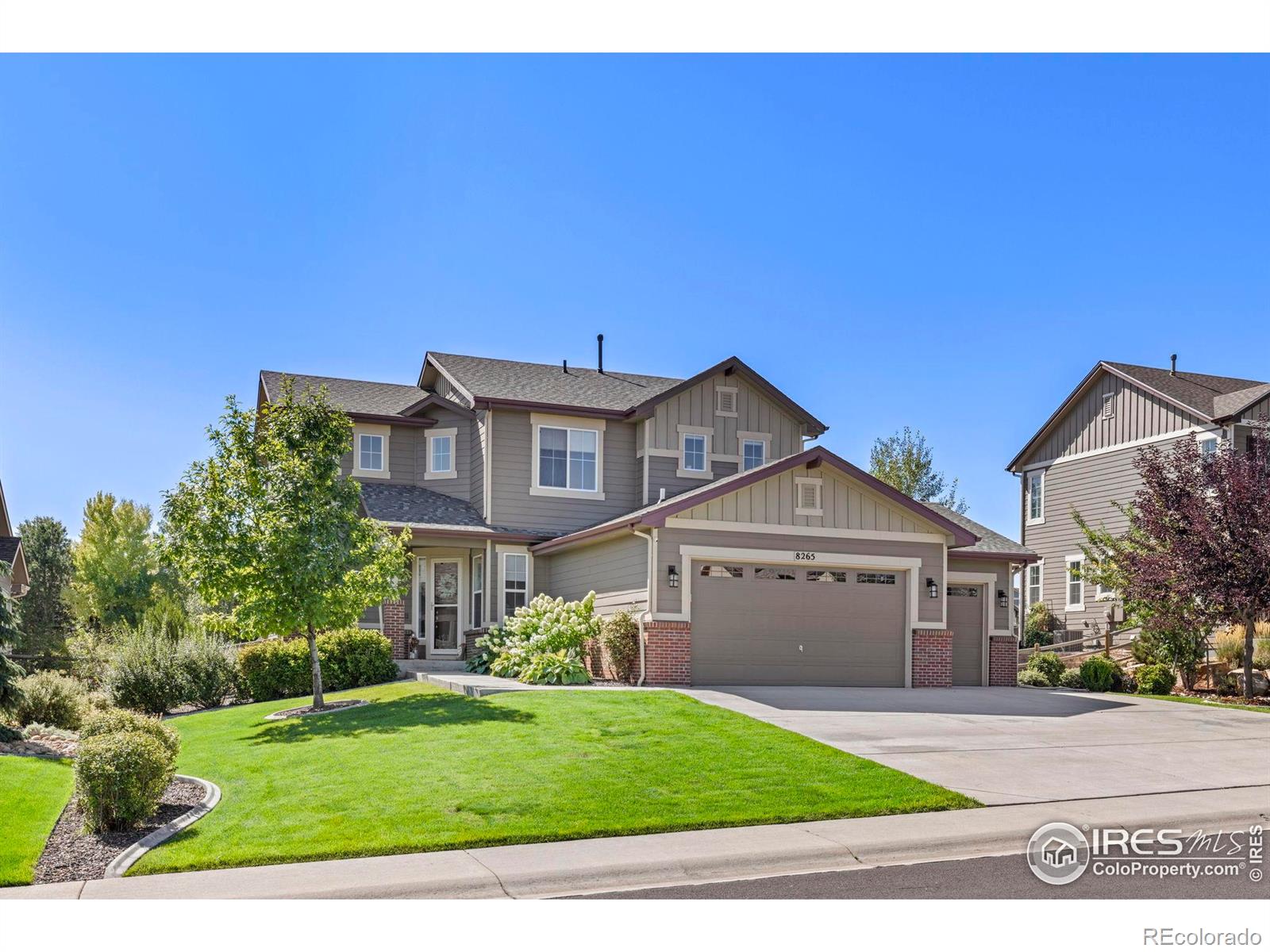 MLS Image #2 for 8265  blackwood drive,windsor, Colorado